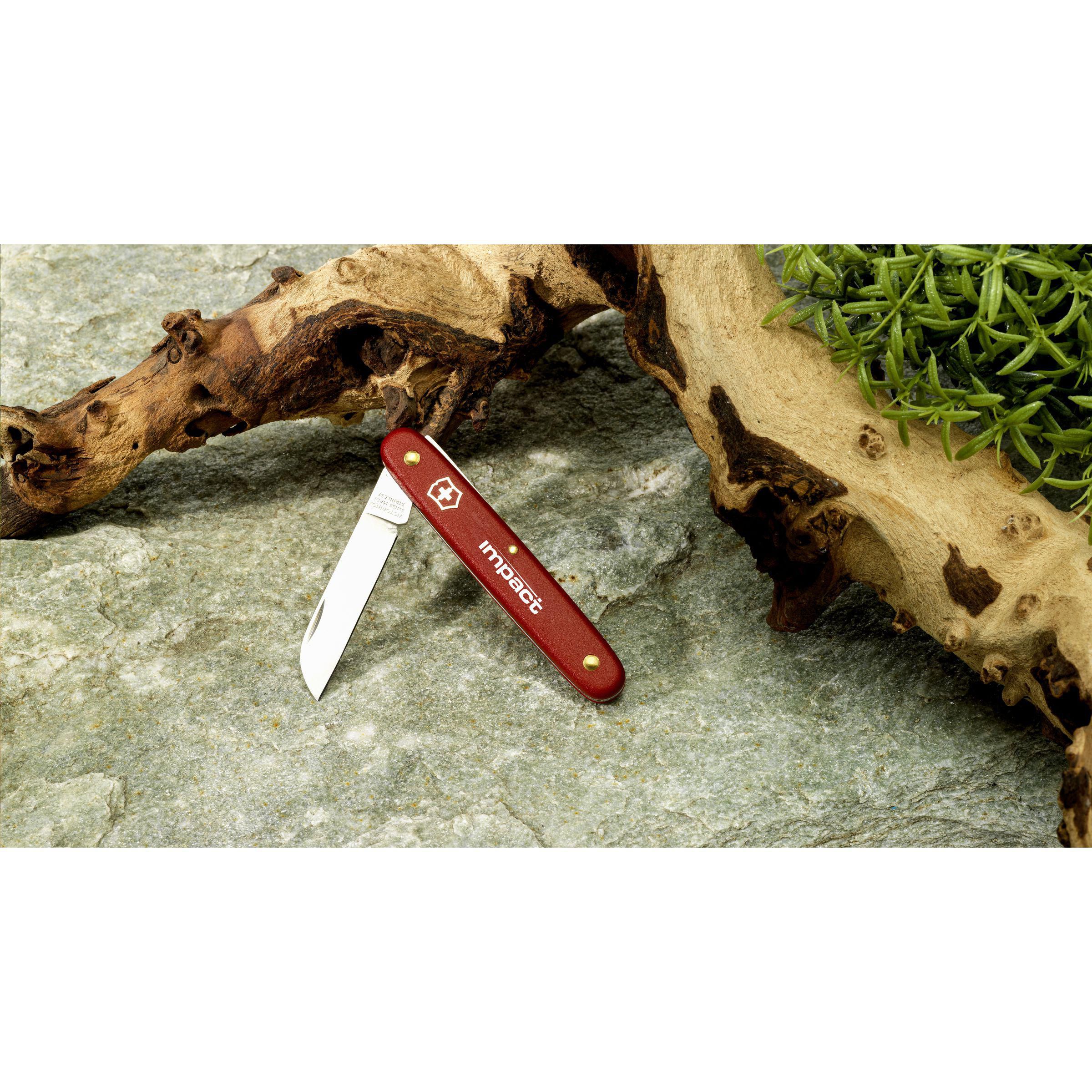 Vue 5 de Victorinox Ecoline Couteau à Fleurs