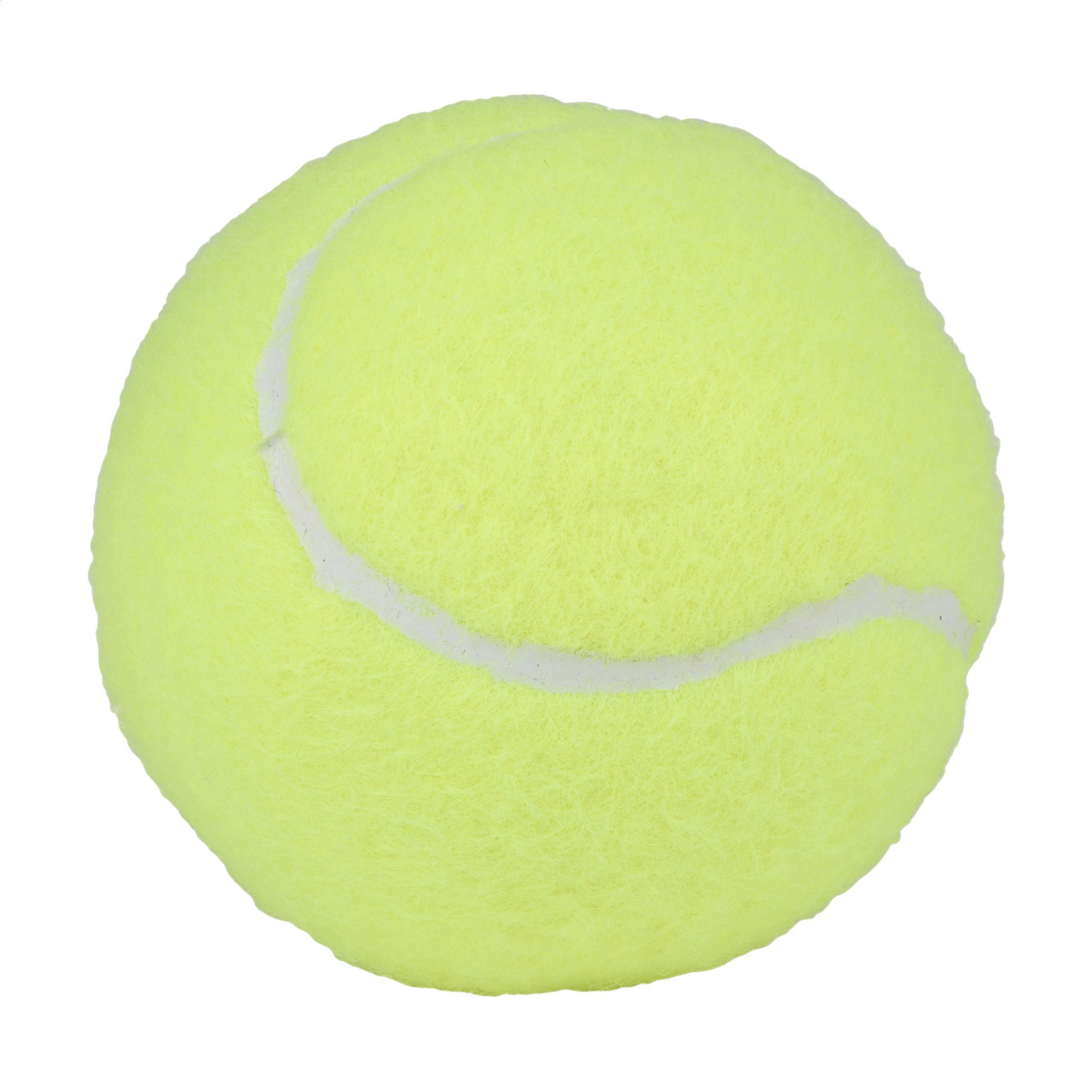 Vue 2 de Ballons de Padel Pro