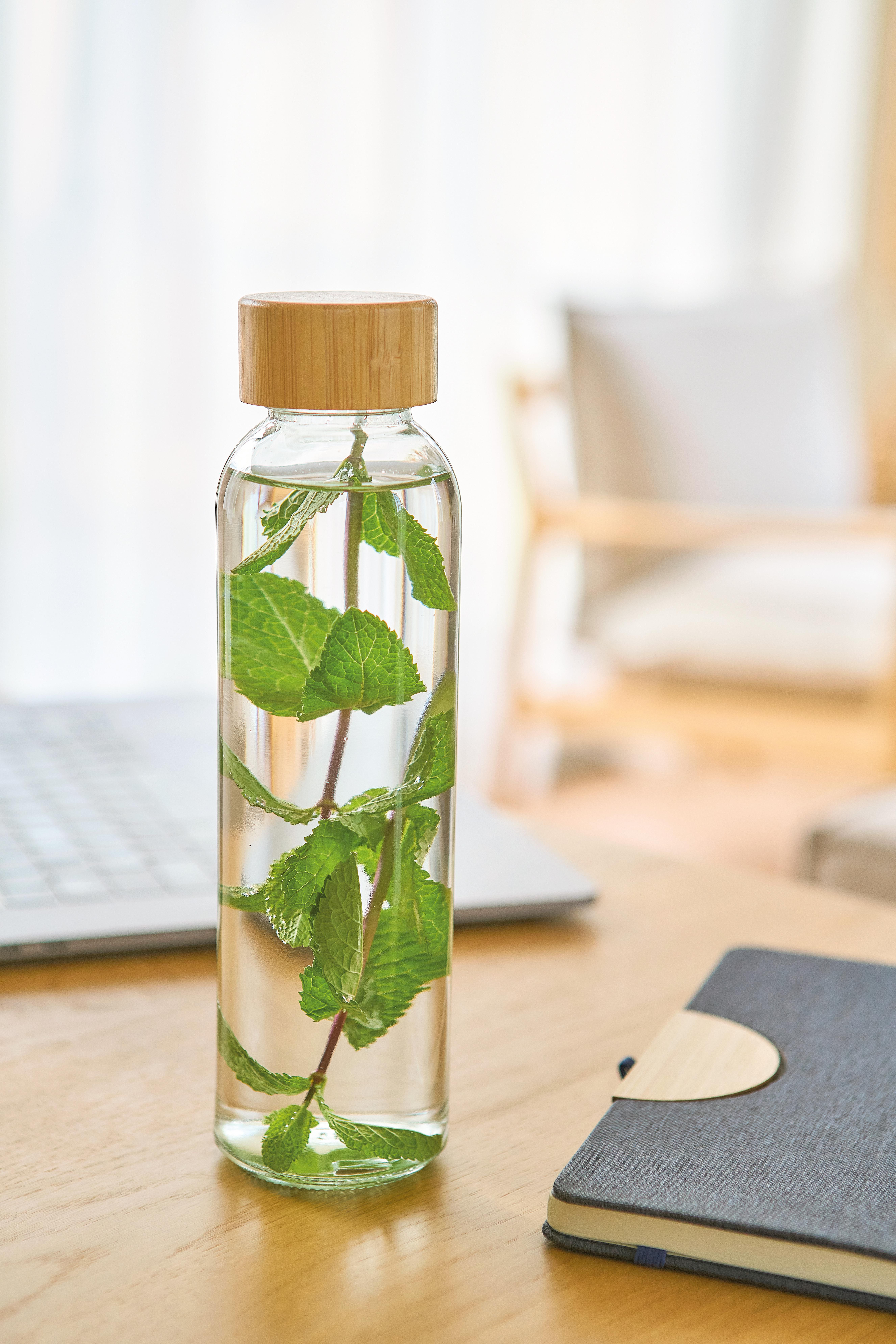 Vue 7 de Gourde Levi | Verre | 500 ml