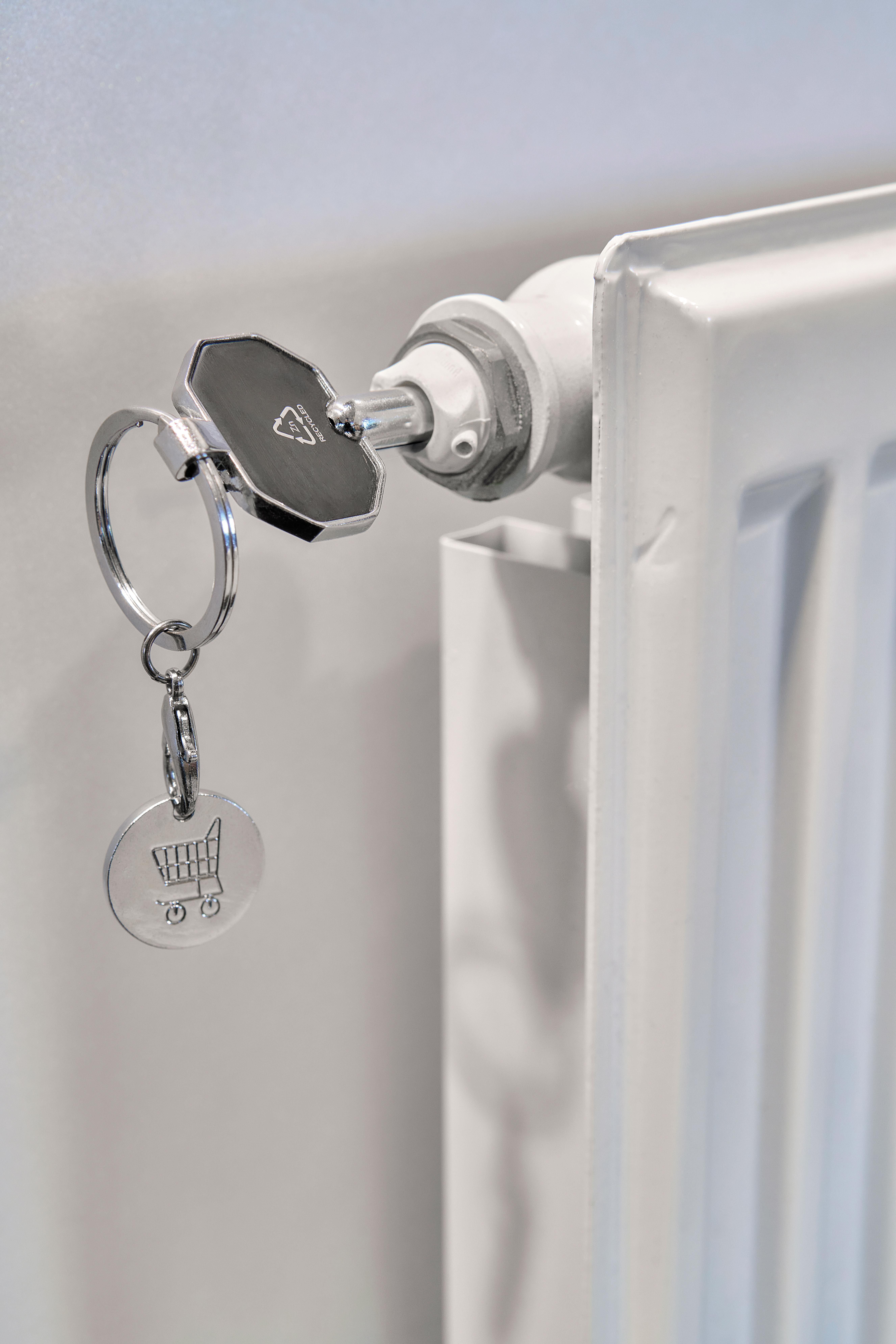 Vue 9 de Porte-clés avec clé de purge Mara | Recyclé | Jeton de caddie