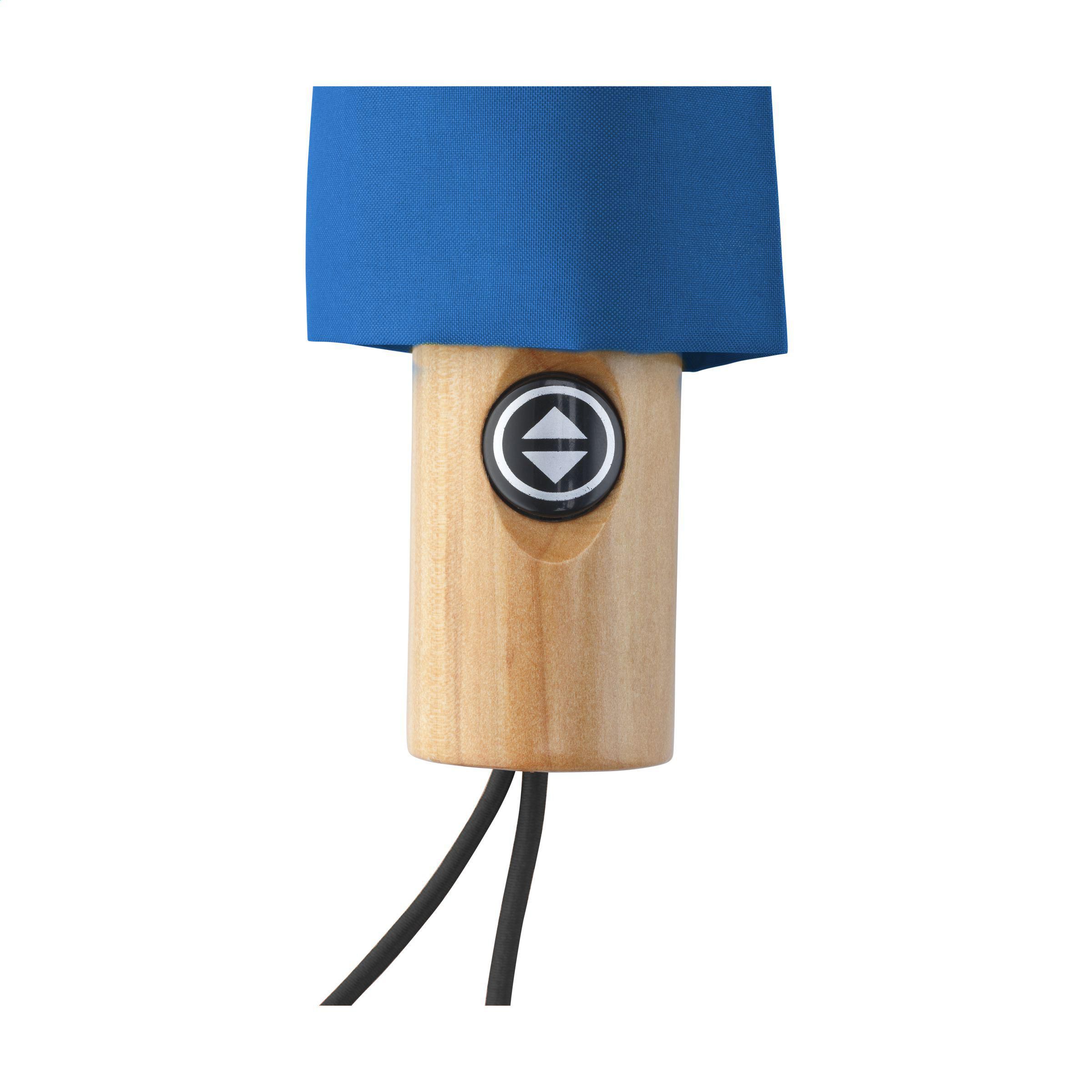 Vue 10 de Michigan parapluie pliable en RCS RPET de 21 inch