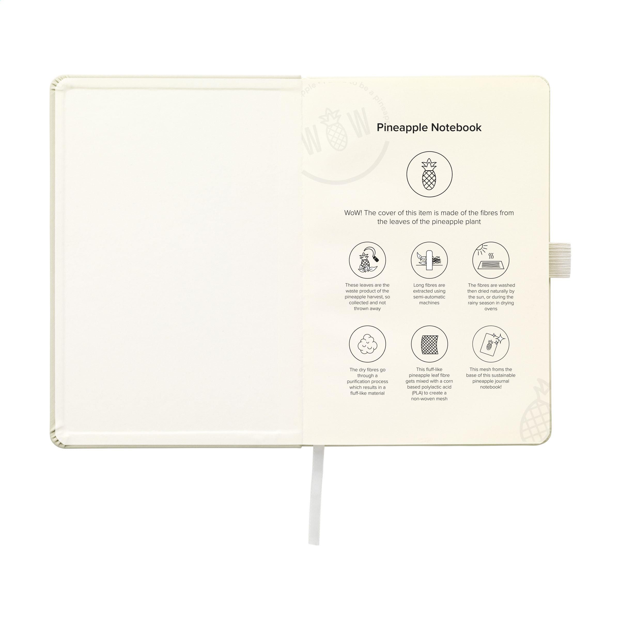 Vue 4 de Pineapple Notebook A5 carnet de notes