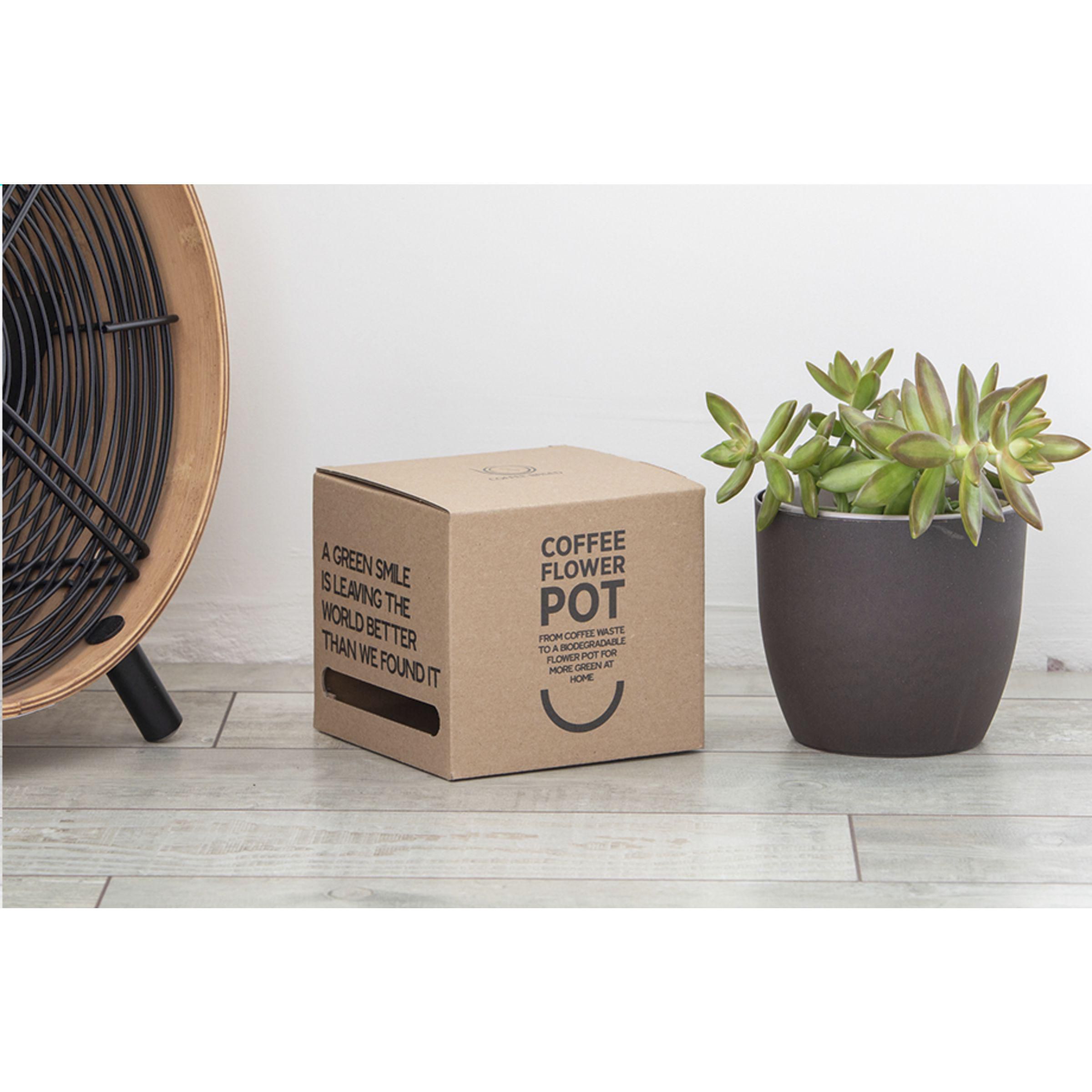 Vue 3 de Coffee Flowerpot pot de fleurs