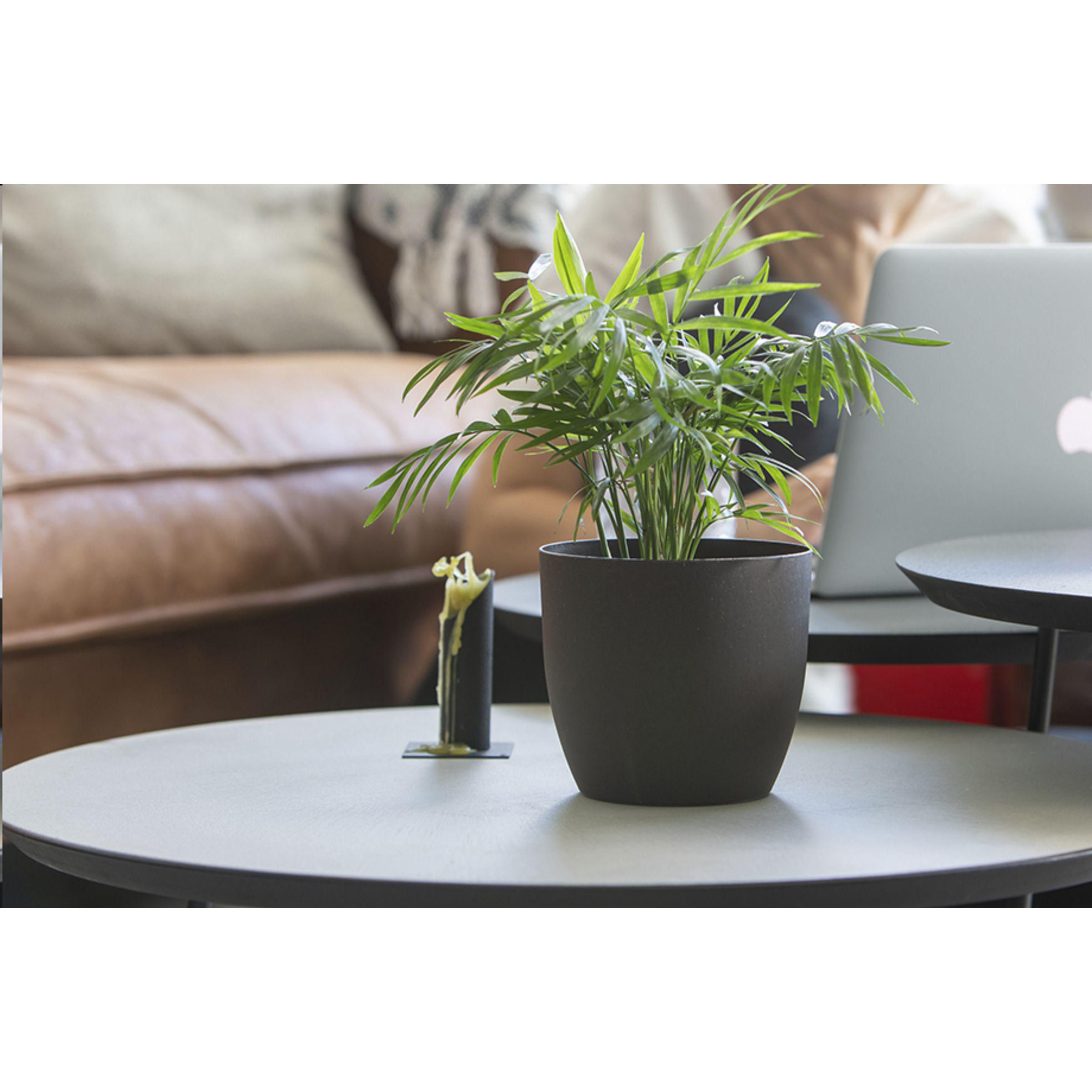 Vue 4 de Coffee Flowerpot pot de fleurs