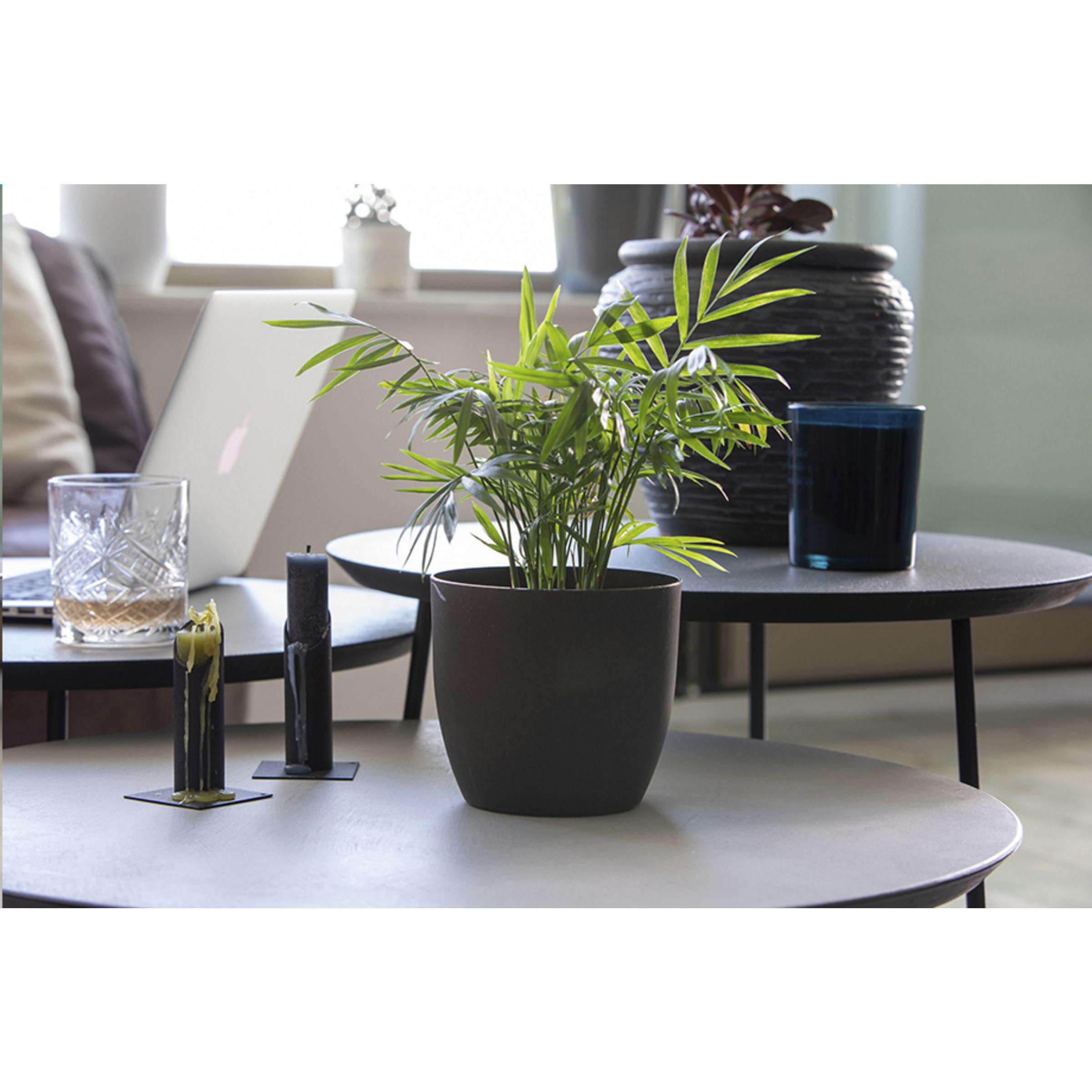 Vue 5 de Coffee Flowerpot pot de fleurs