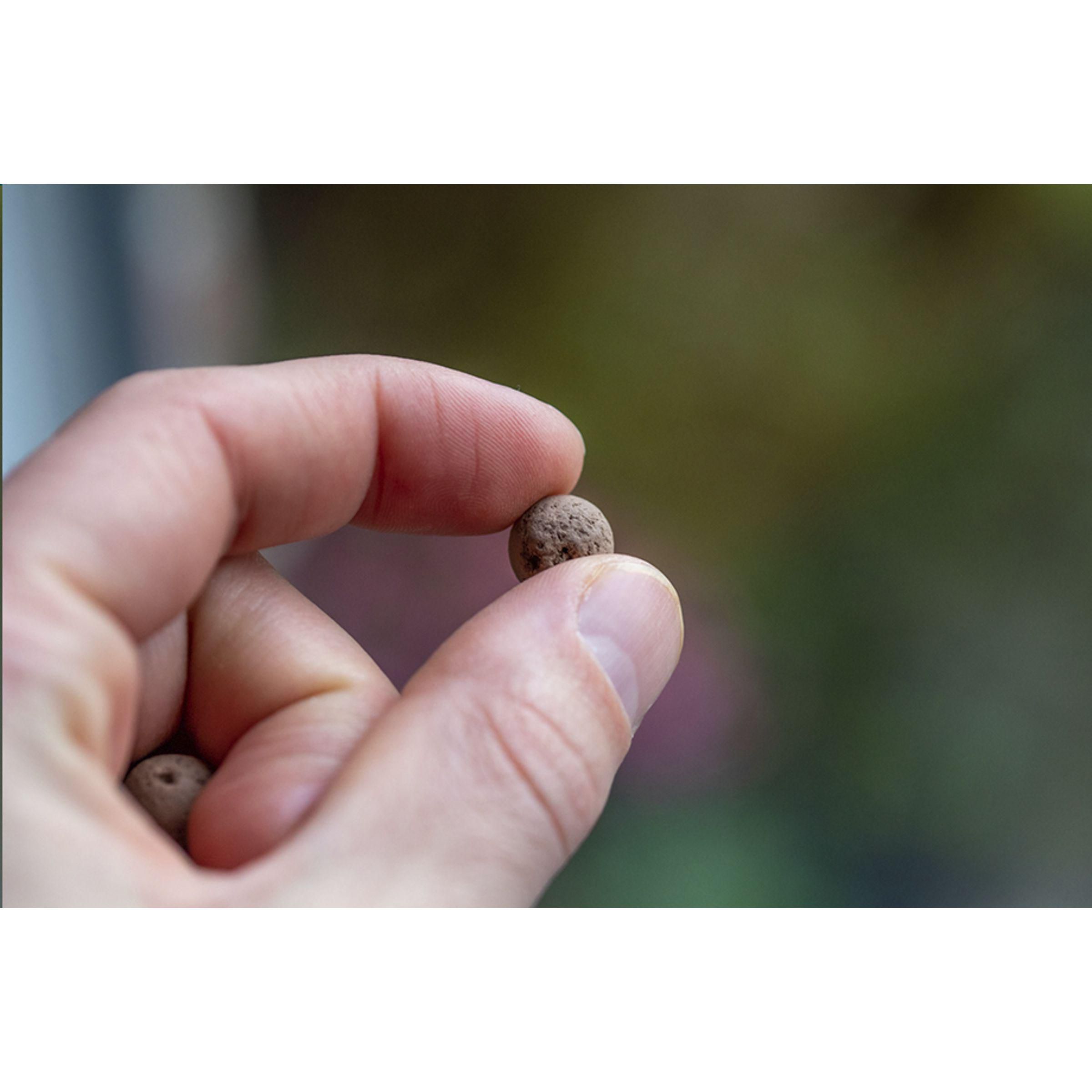Vue 8 de Green Balls mini-écosystème