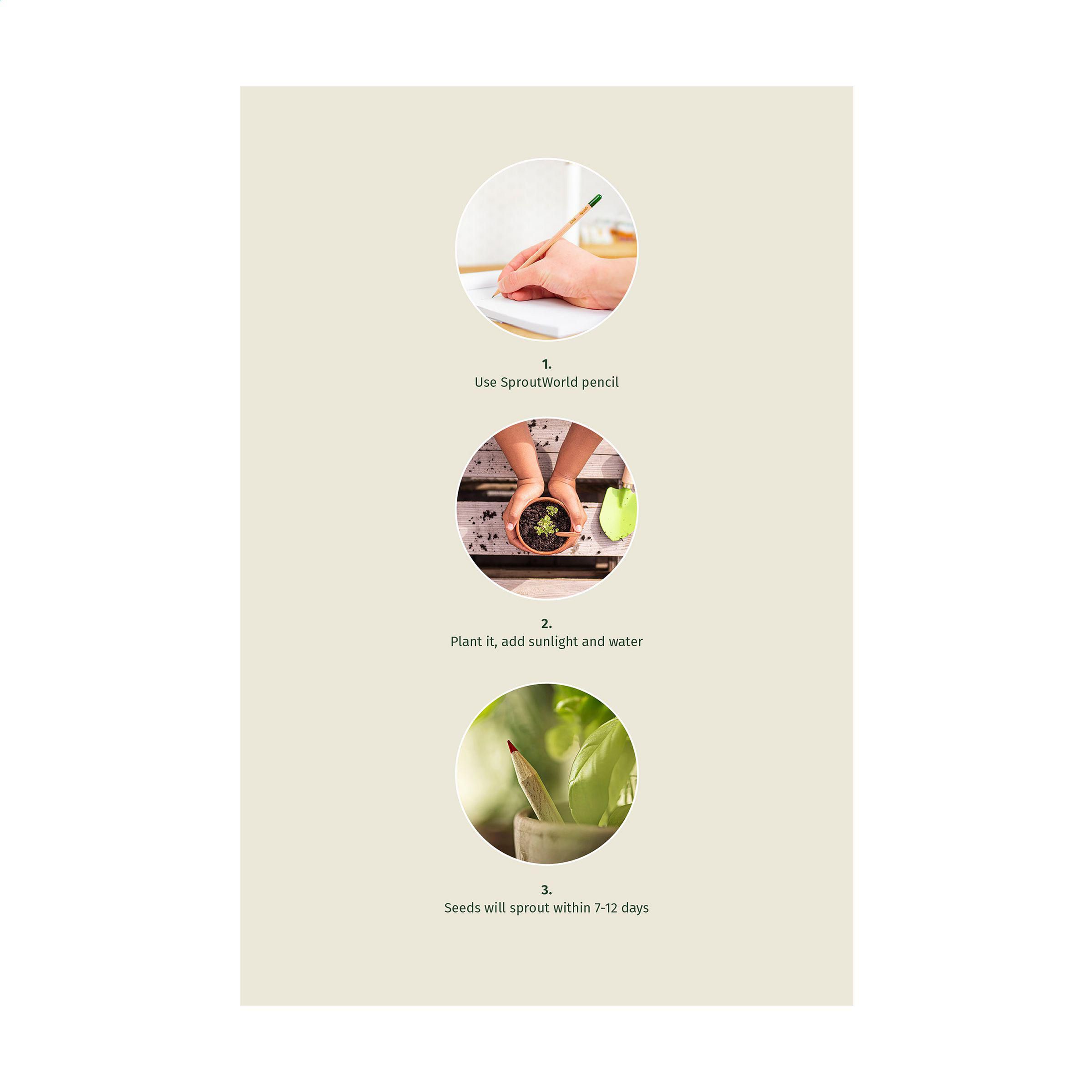 Vue 3 de Sproutworld Sharpened Pencil crayon taillé