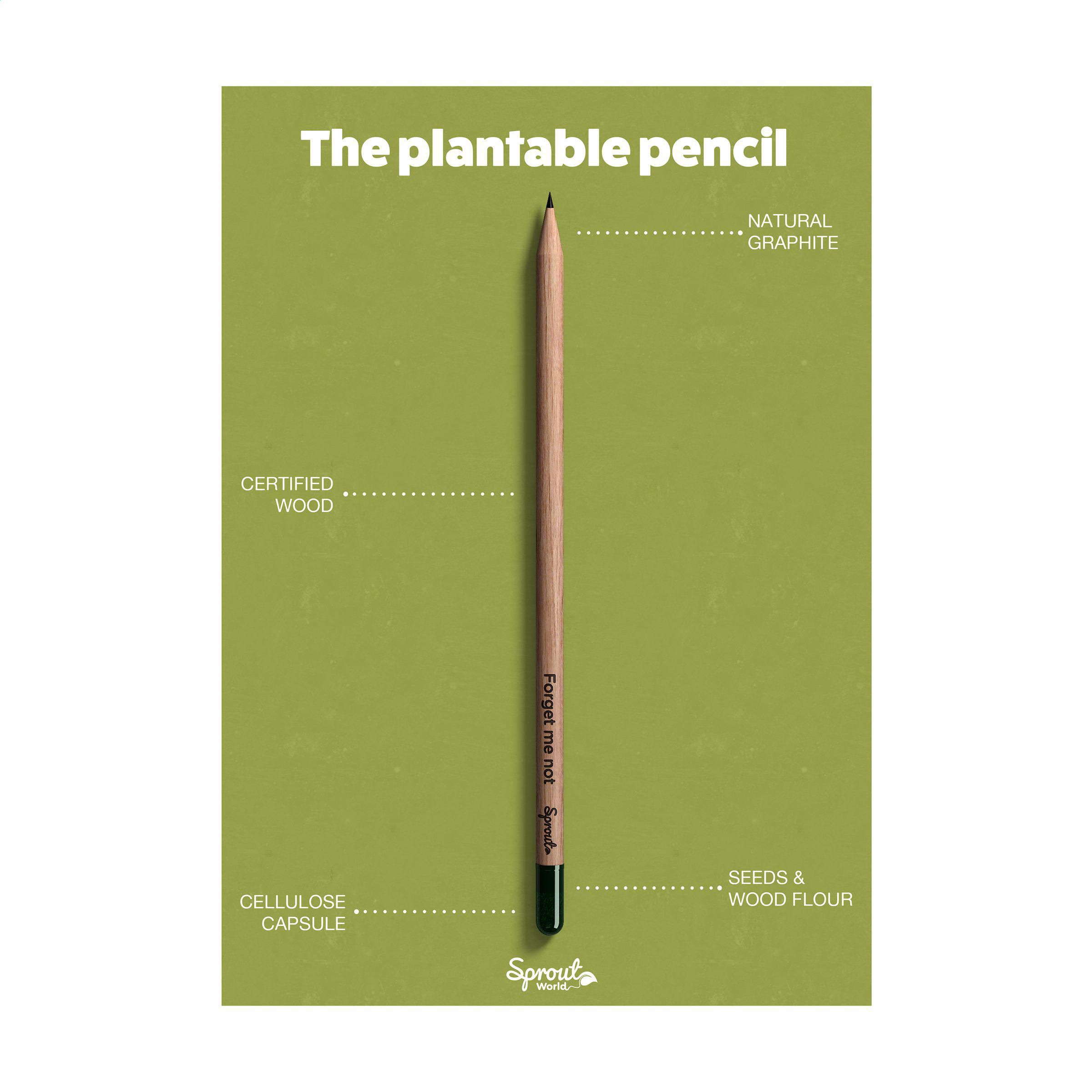 Vue 5 de Sproutworld Sharpened Pencil crayon taillé