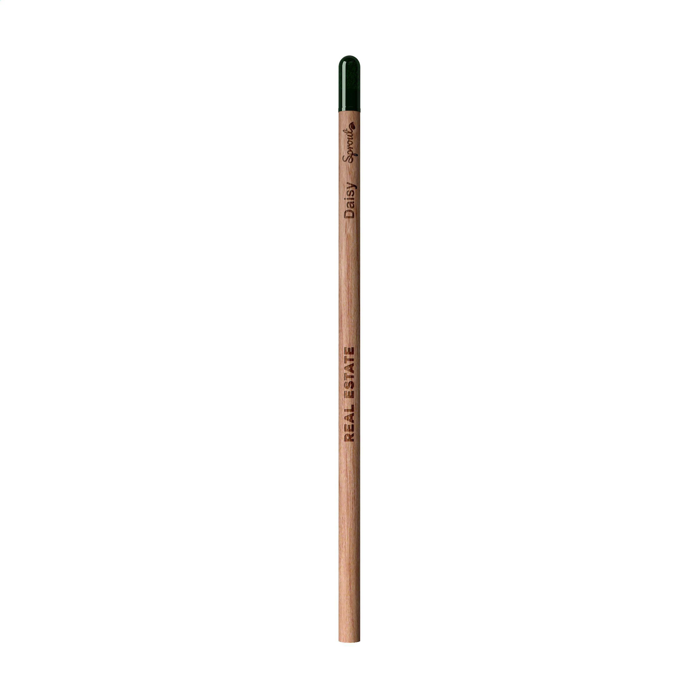 Sproutworld Unsharpened Pencil crayon non taillé