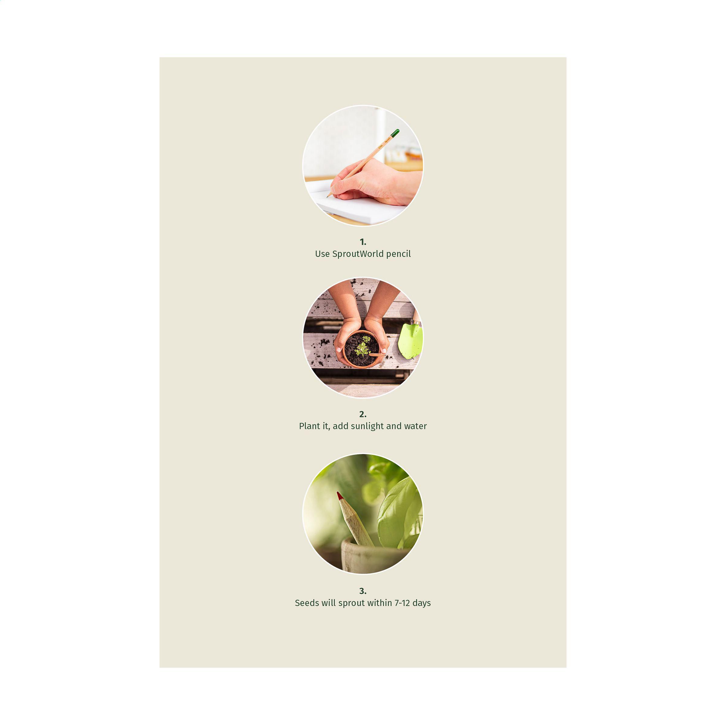 Vue 3 de Sproutworld Unsharpened Pencil crayon non taillé