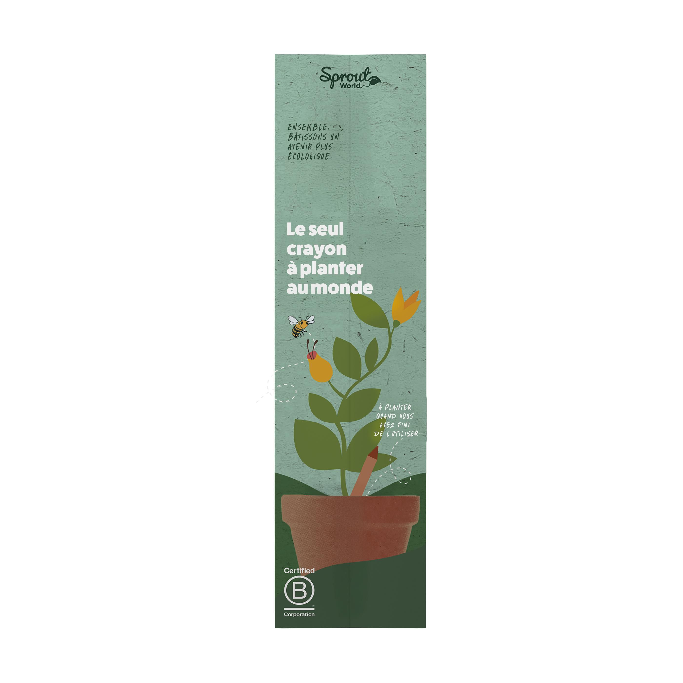 Carte d'en-tête unique pour le crayon Sproutworld FR