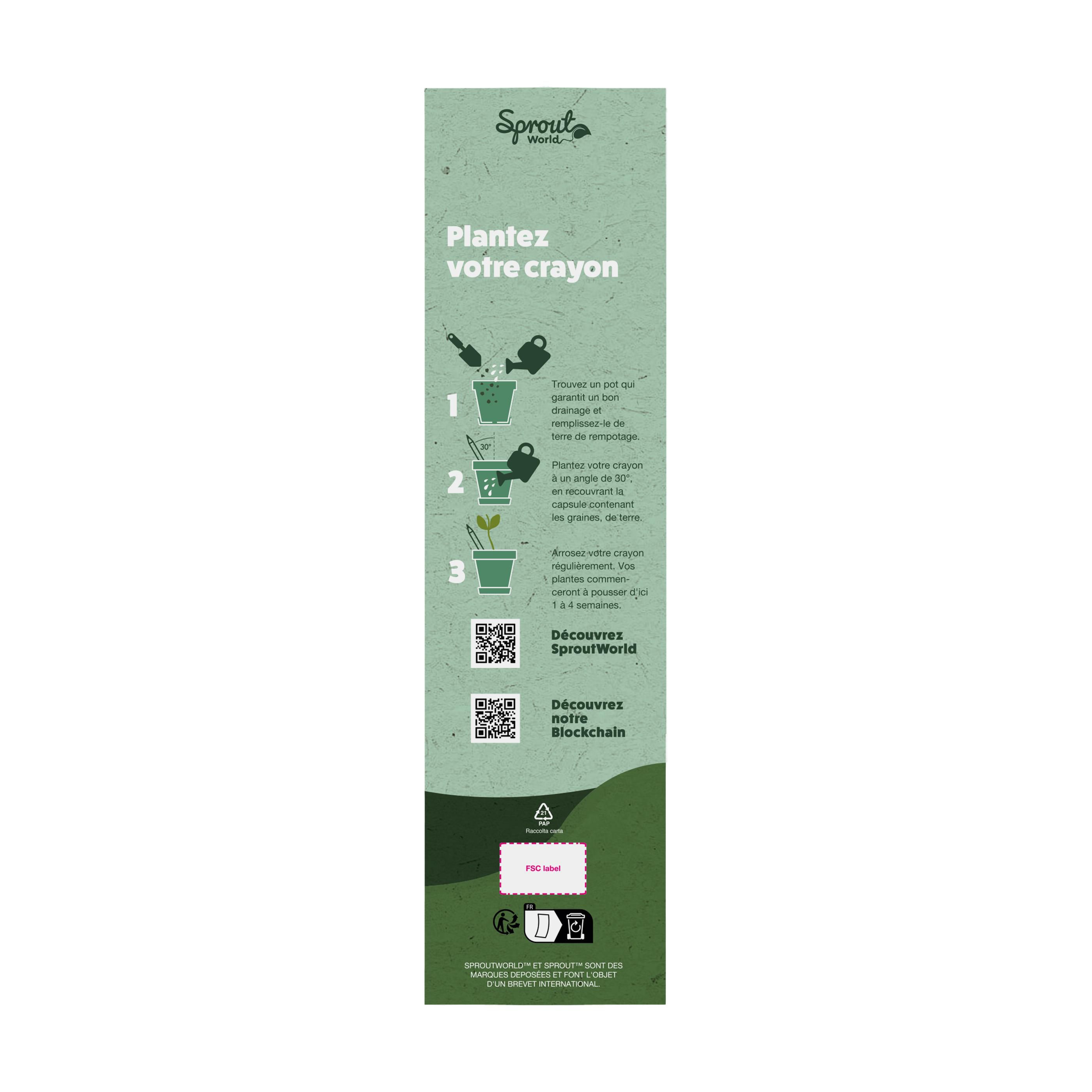 Vue 2 de Carte d'en-tête unique pour le crayon Sproutworld FR
