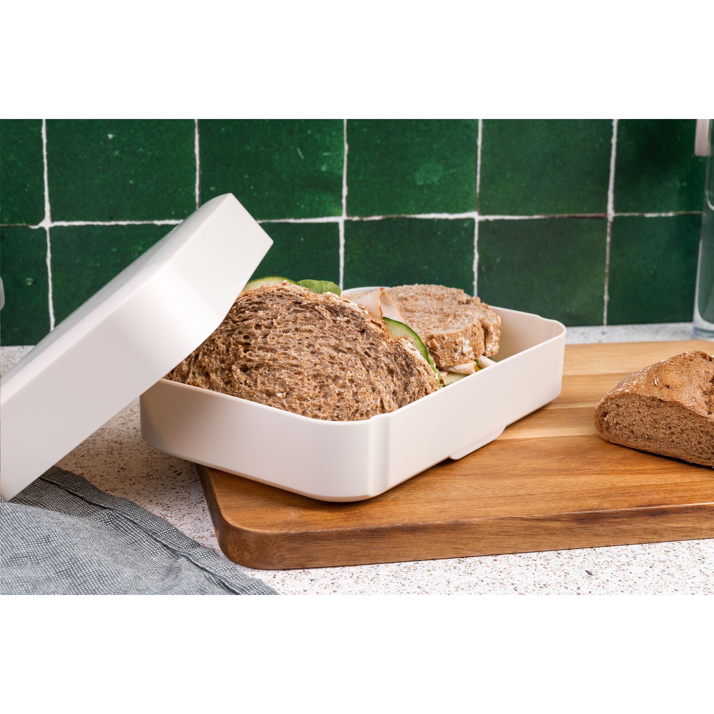 Vue 3 de Amuse Classic Lunchbox Large