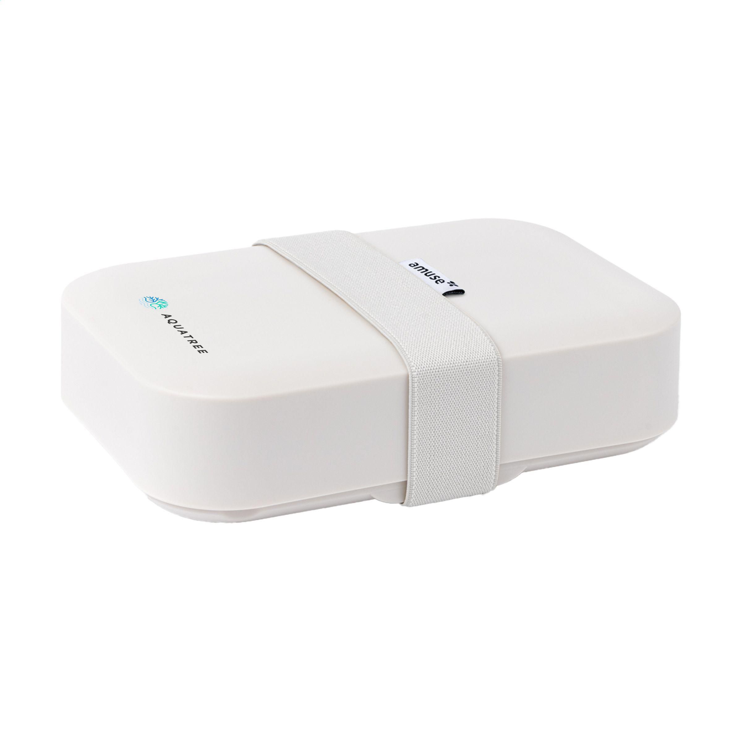 Amuse Classic Lunchbox Medium