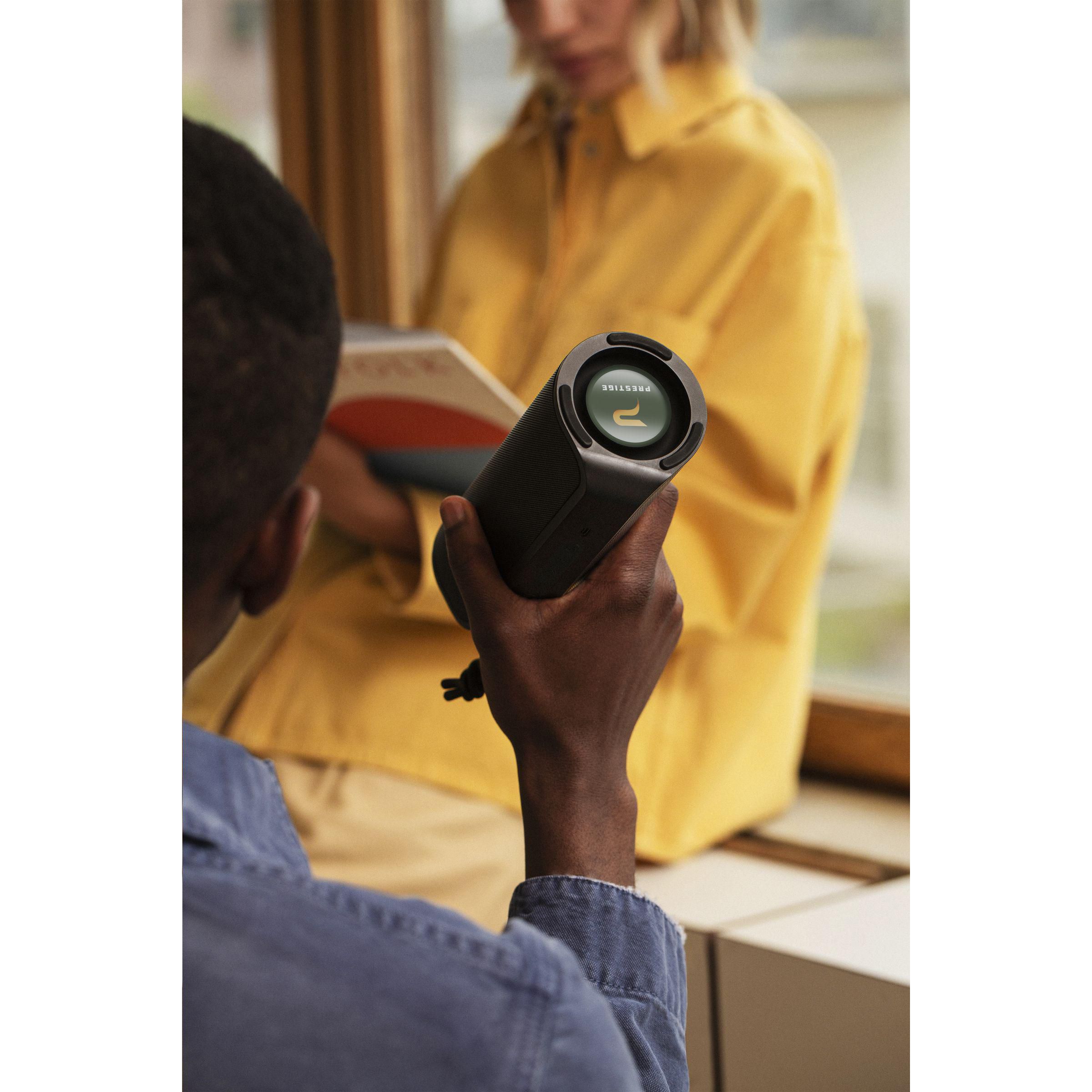 Vue 19 de Sudio Bluetooth Speaker F4