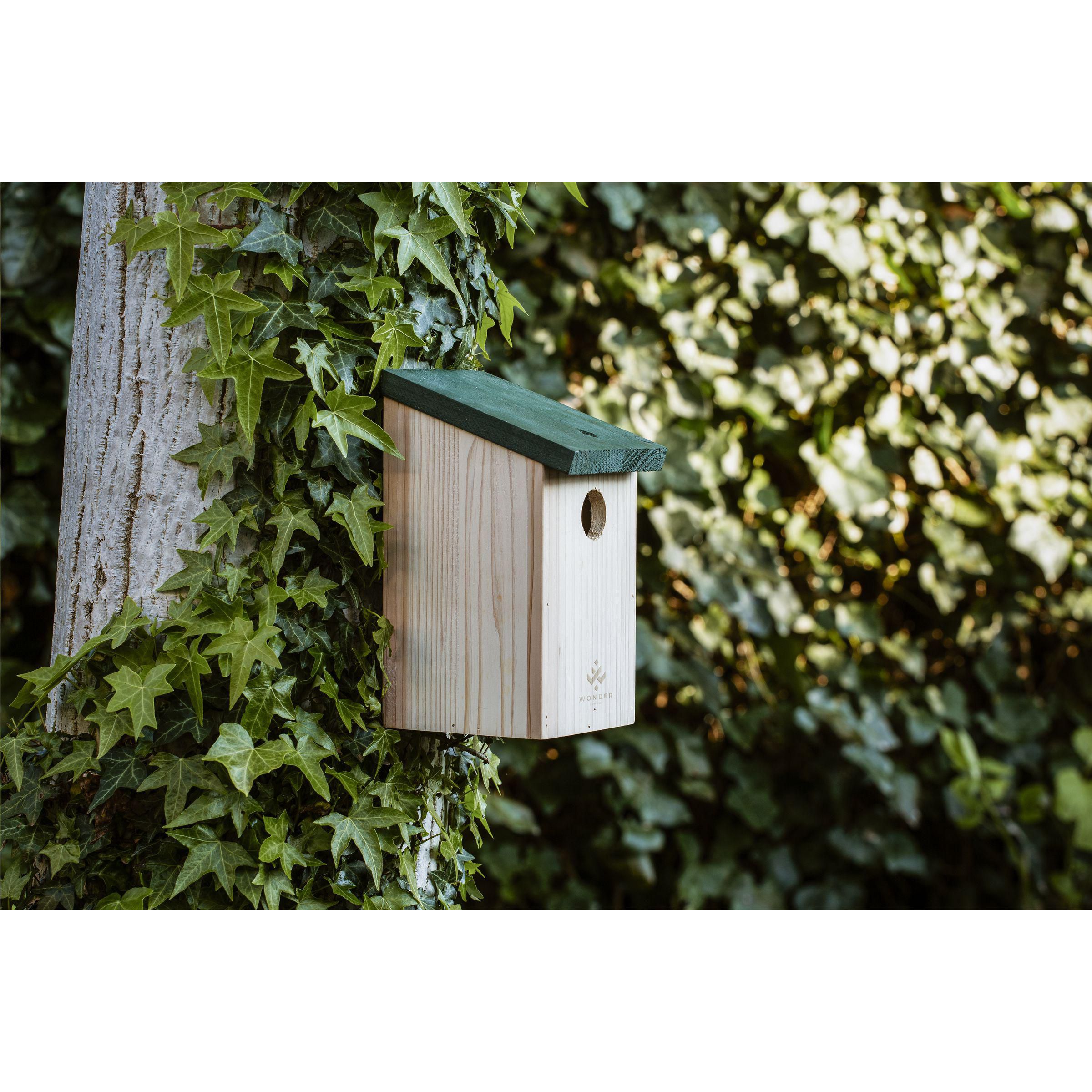 Vue 5 de Birdhouse nichoir