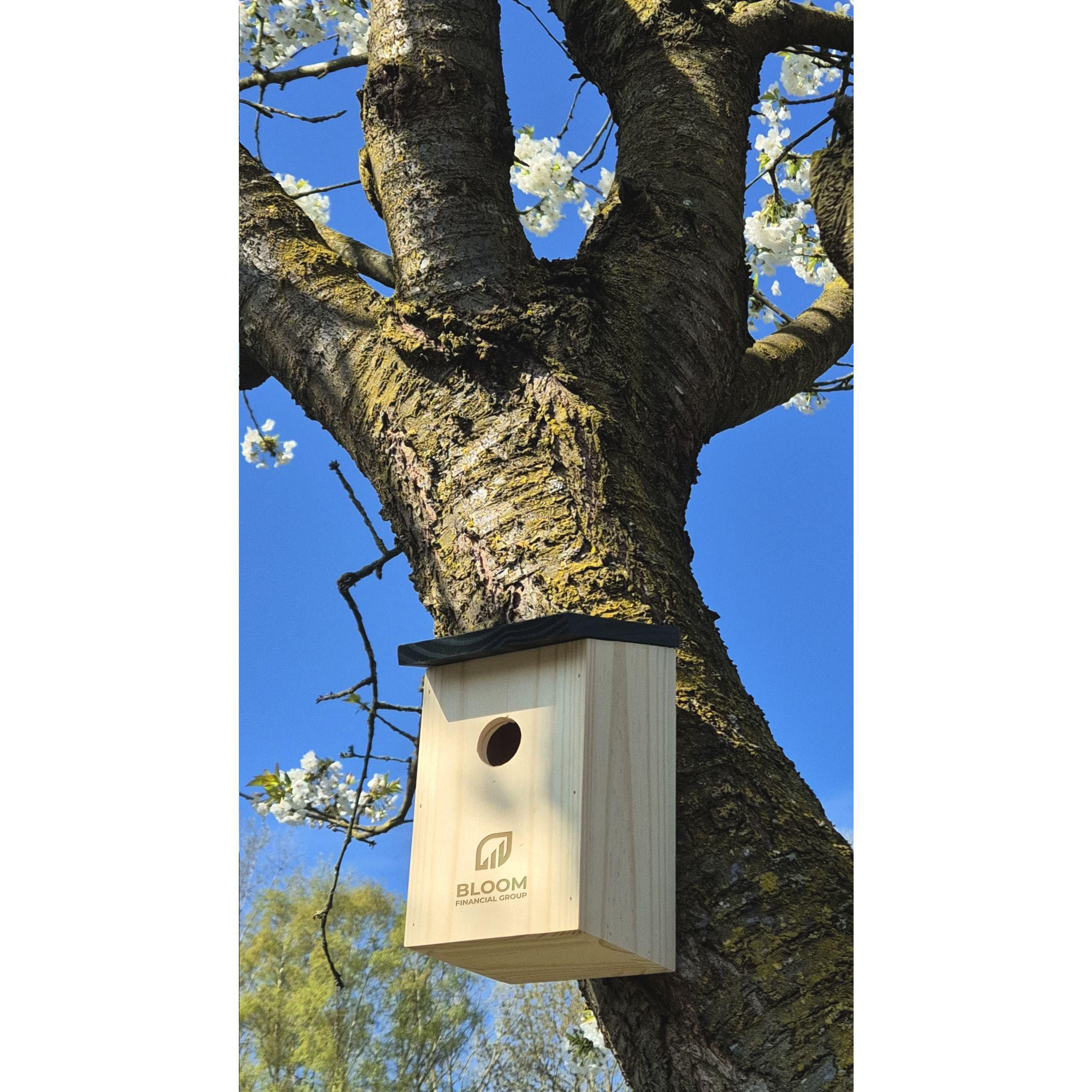 Vue 6 de Birdhouse nichoir