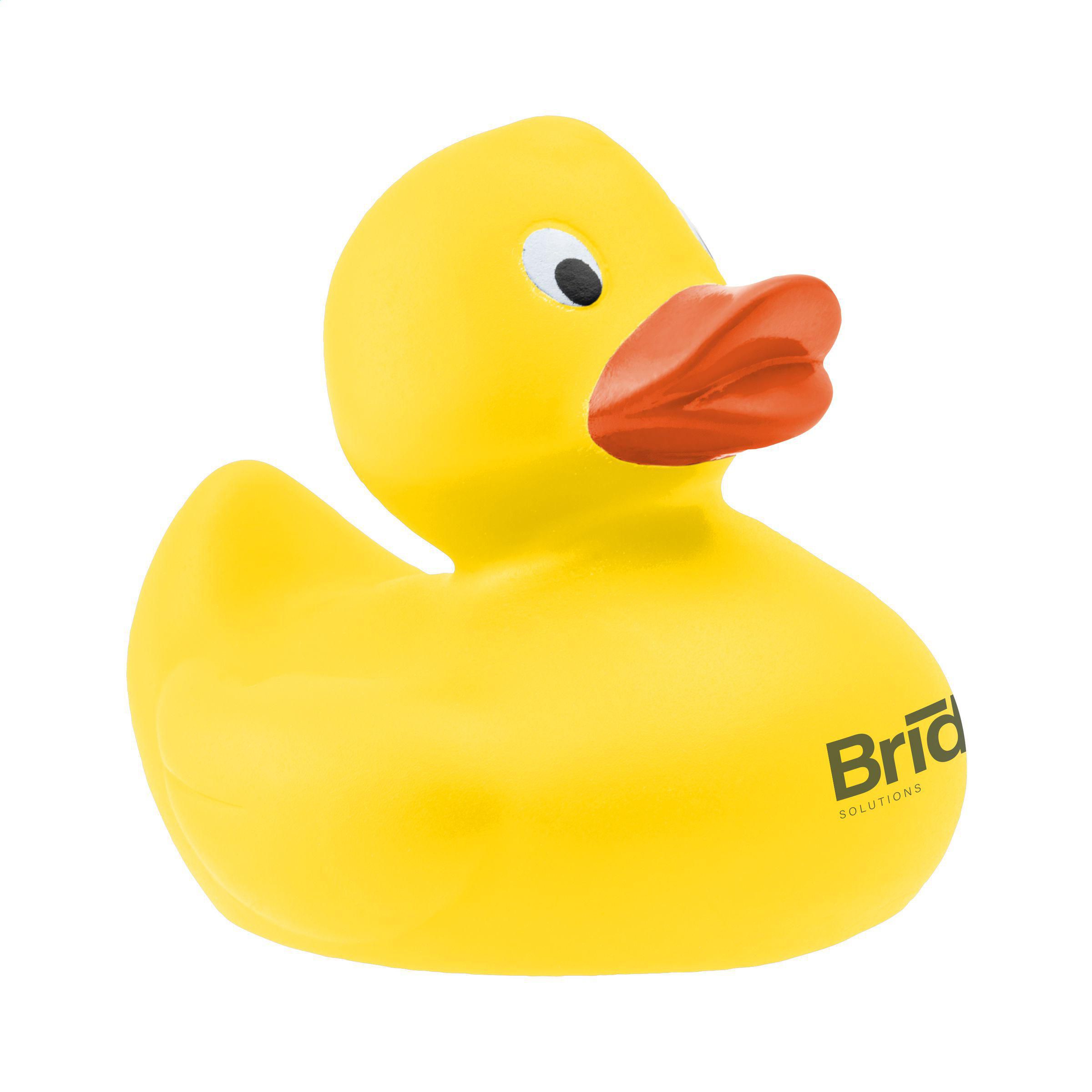 Vue 6 de LittleDuck canard pour le bain