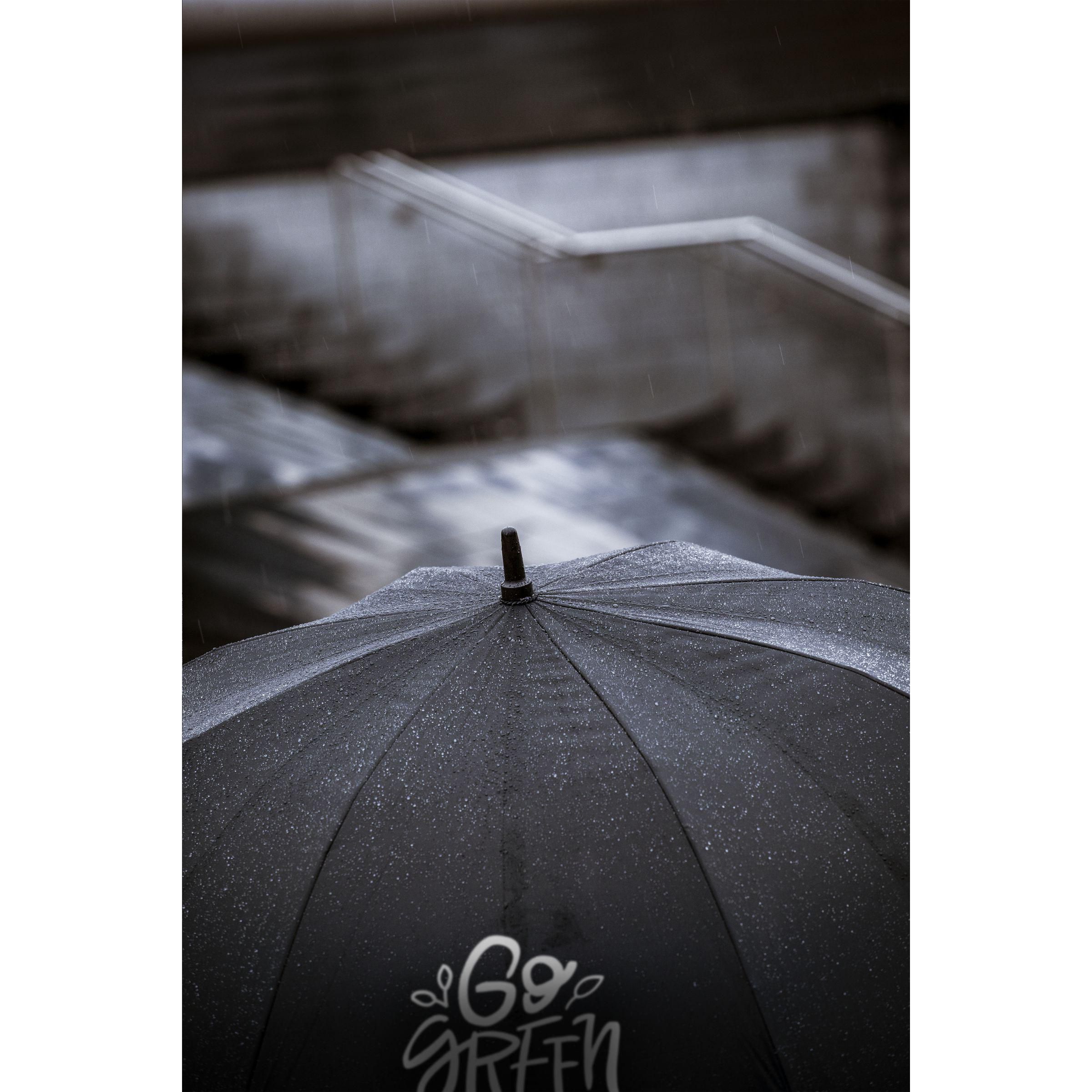 Vue 11 de Colorado XL RCS RPET parapluie 29 inch