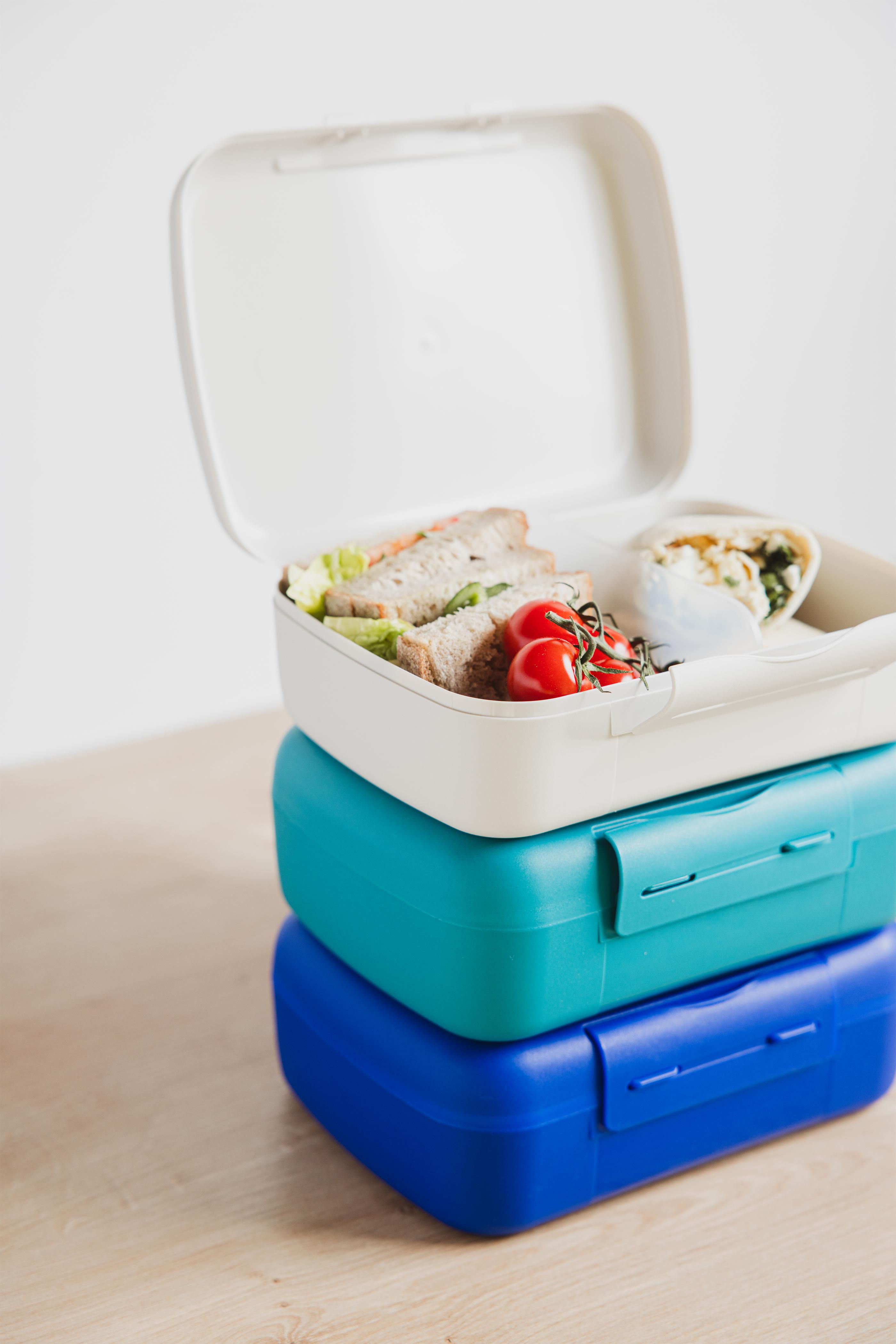 Vue 3 de Day to Day Brunchbox 1,4 L