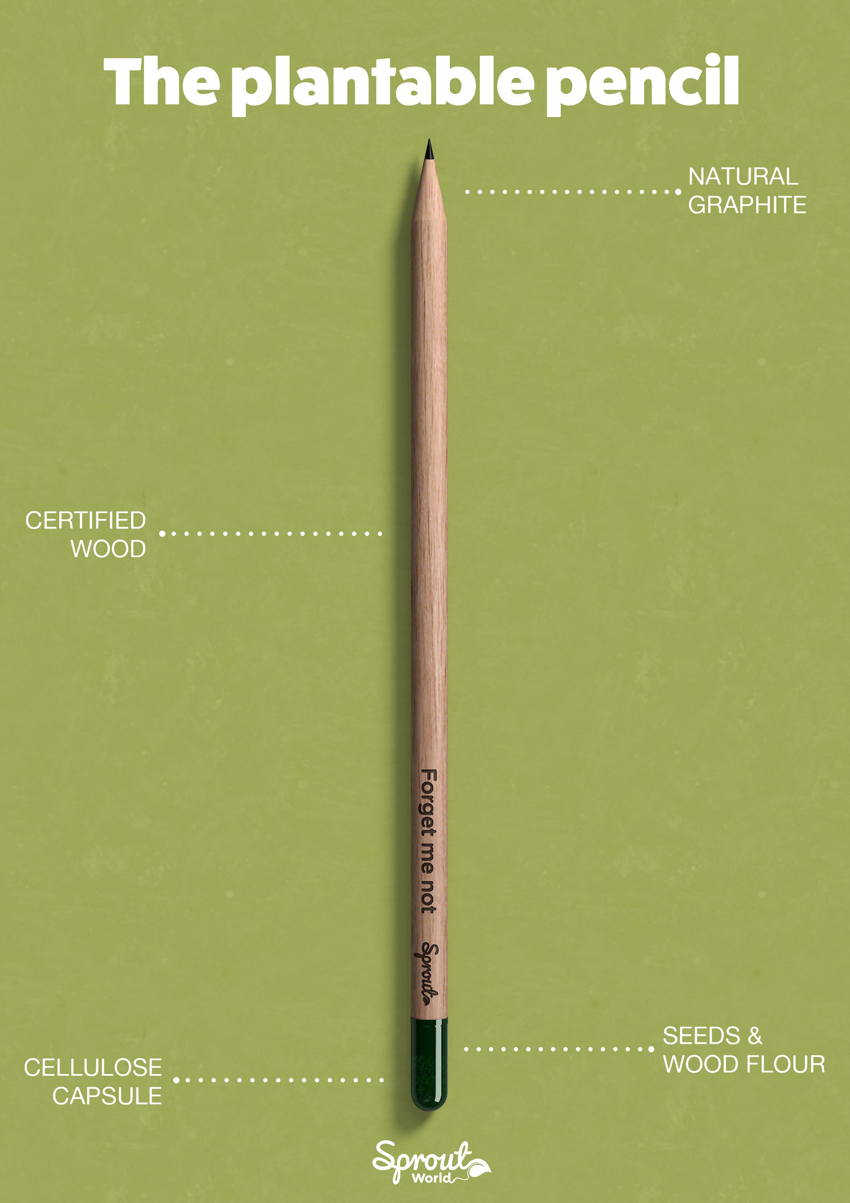 Vue 7 de Sproutworld Unsharpened Pencil & Header Card crayon non taillé