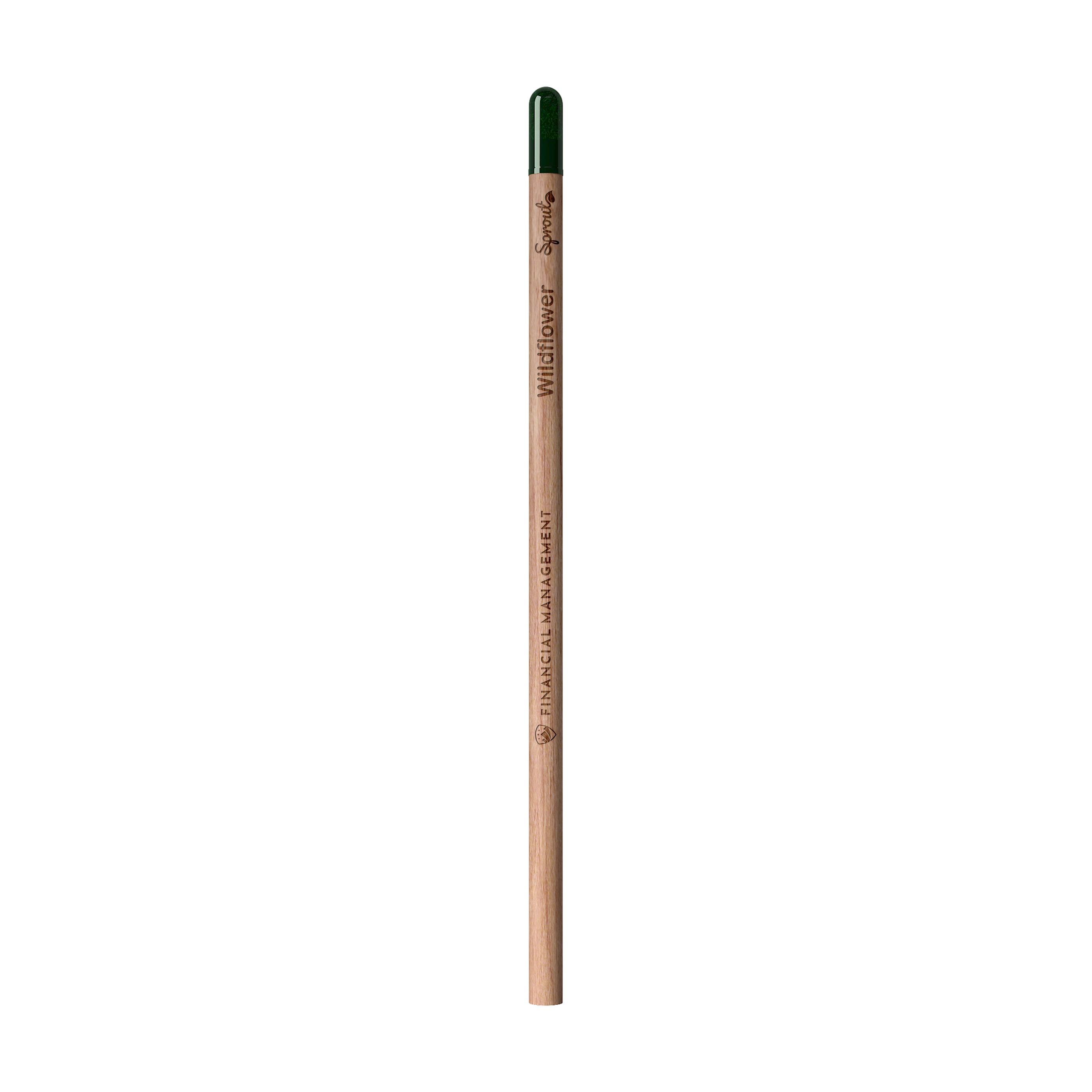 Vue 12 de Sproutworld Unsharpened Pencil & Header Card crayon non taillé
