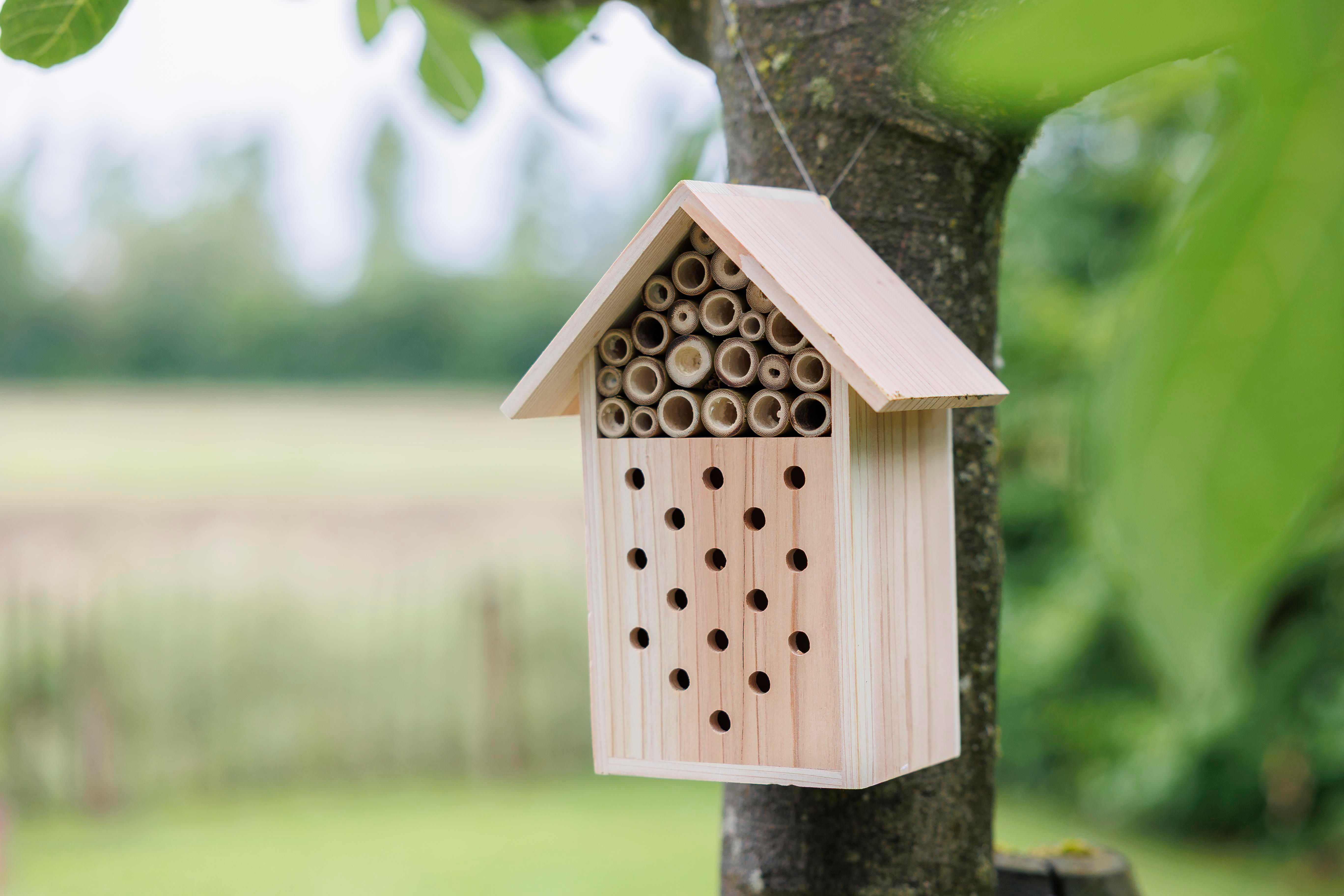 Vue 9 de Maison à abeilles Fahim | Bois