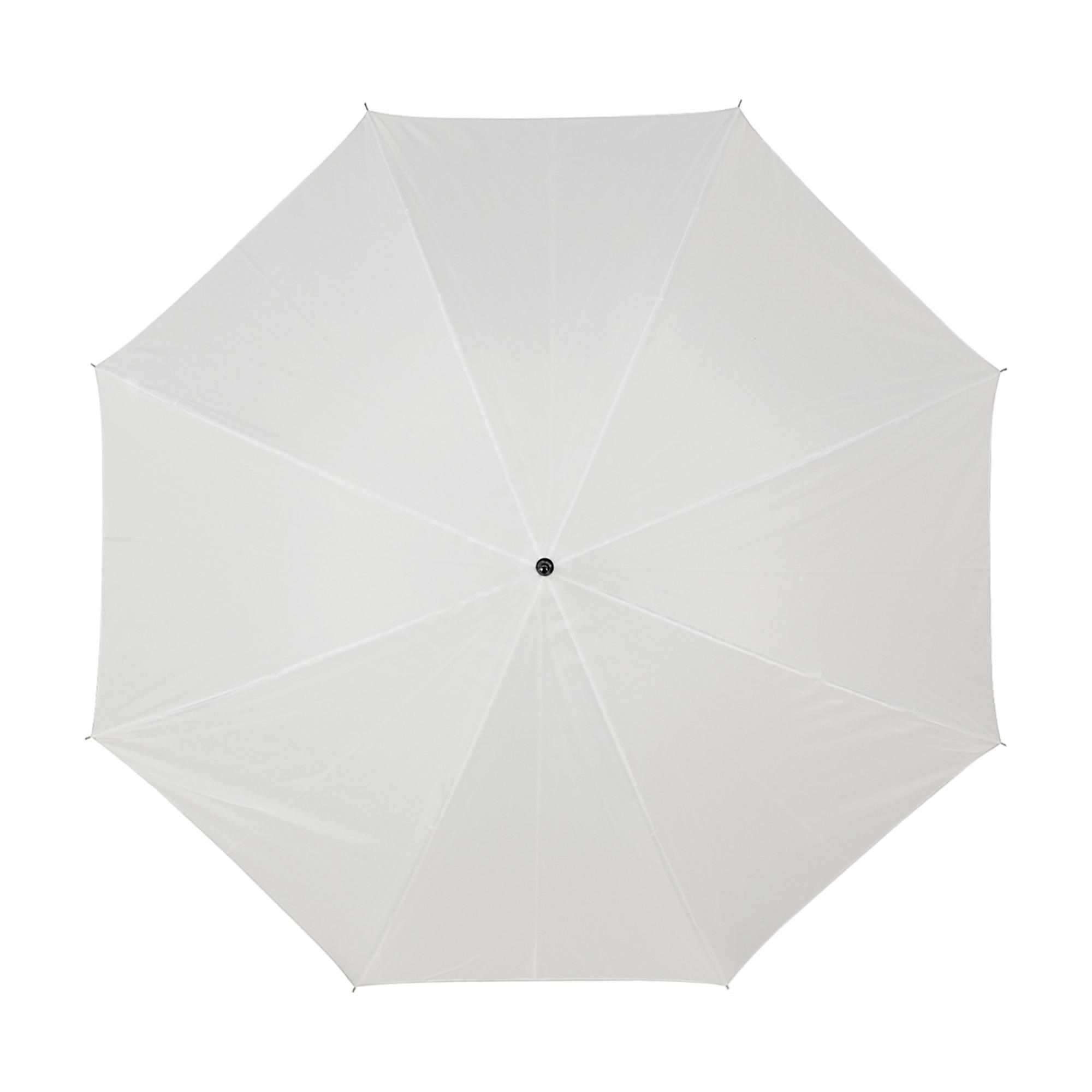 Vue 2 de Parapluie Andy