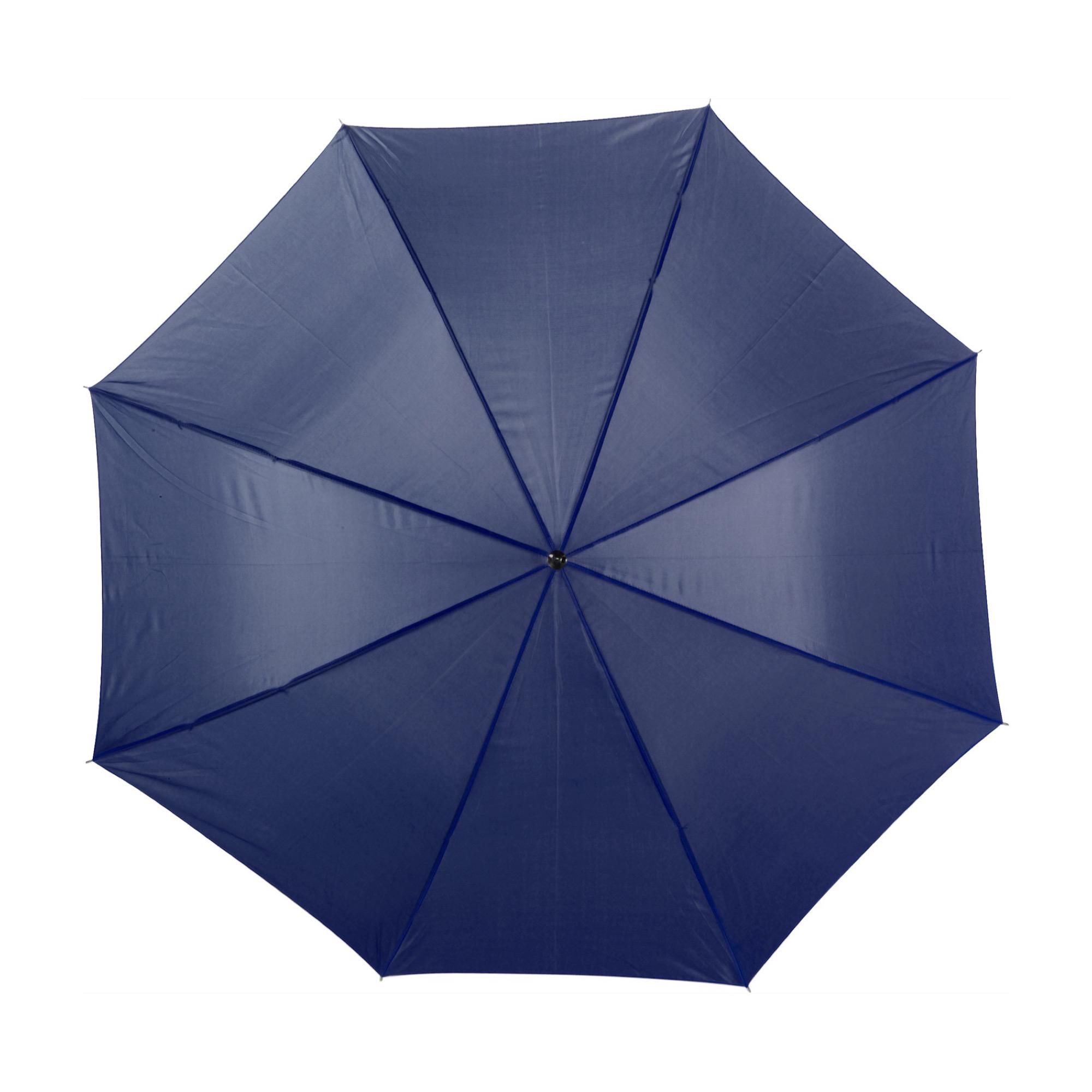 Vue 13 de Parapluie Andy