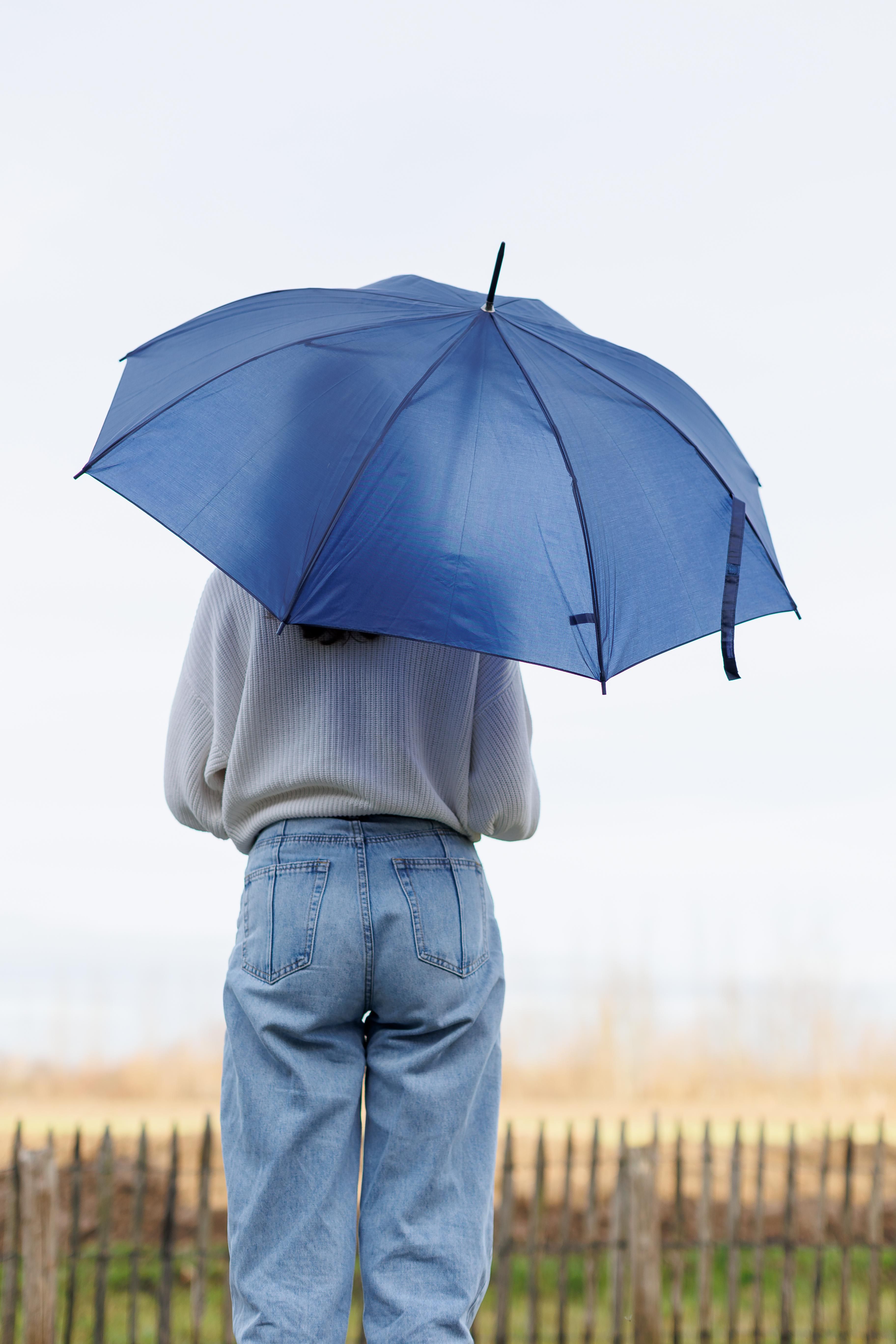 Vue 19 de Parapluie Andy