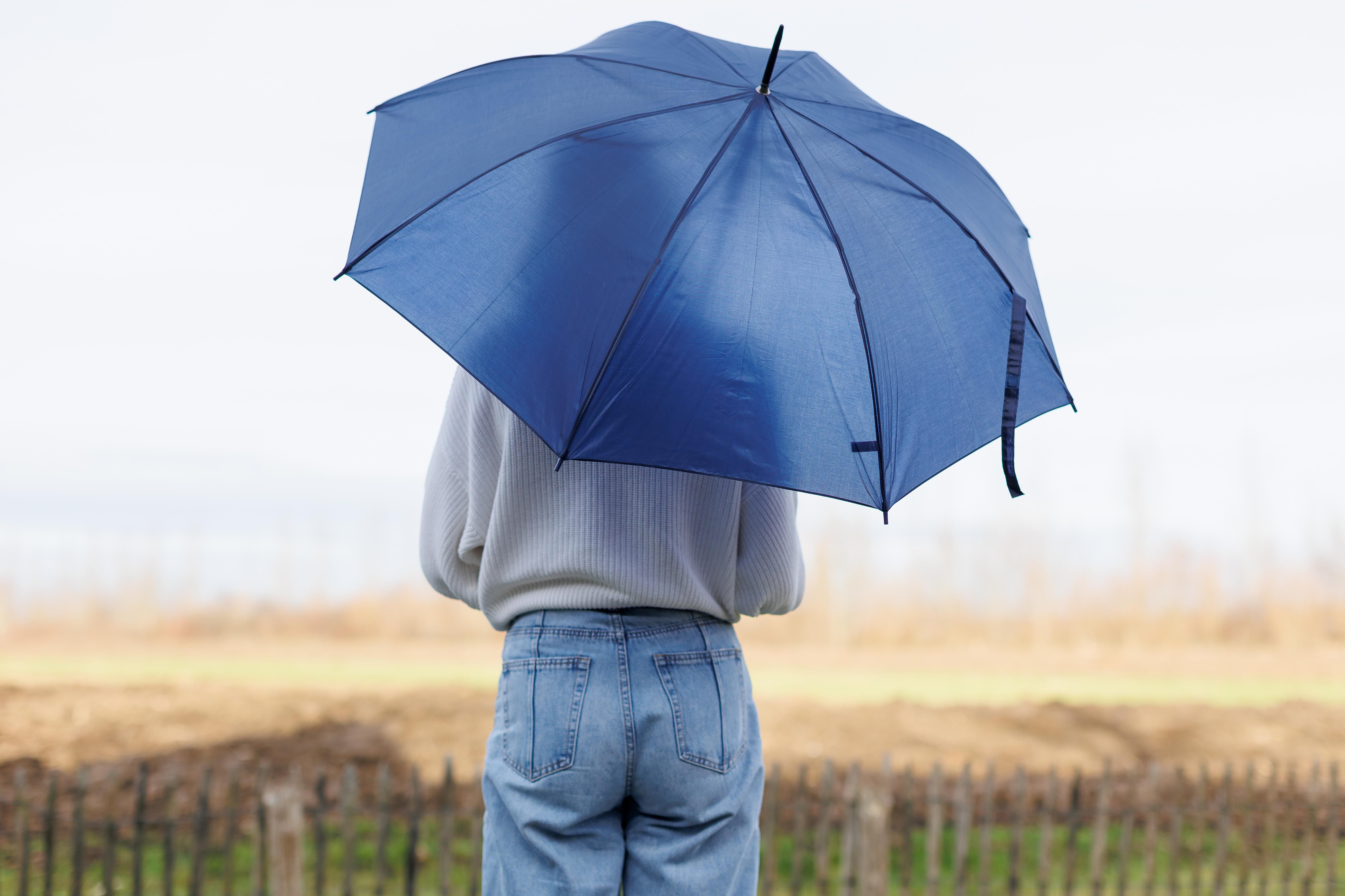 Vue 20 de Parapluie Andy