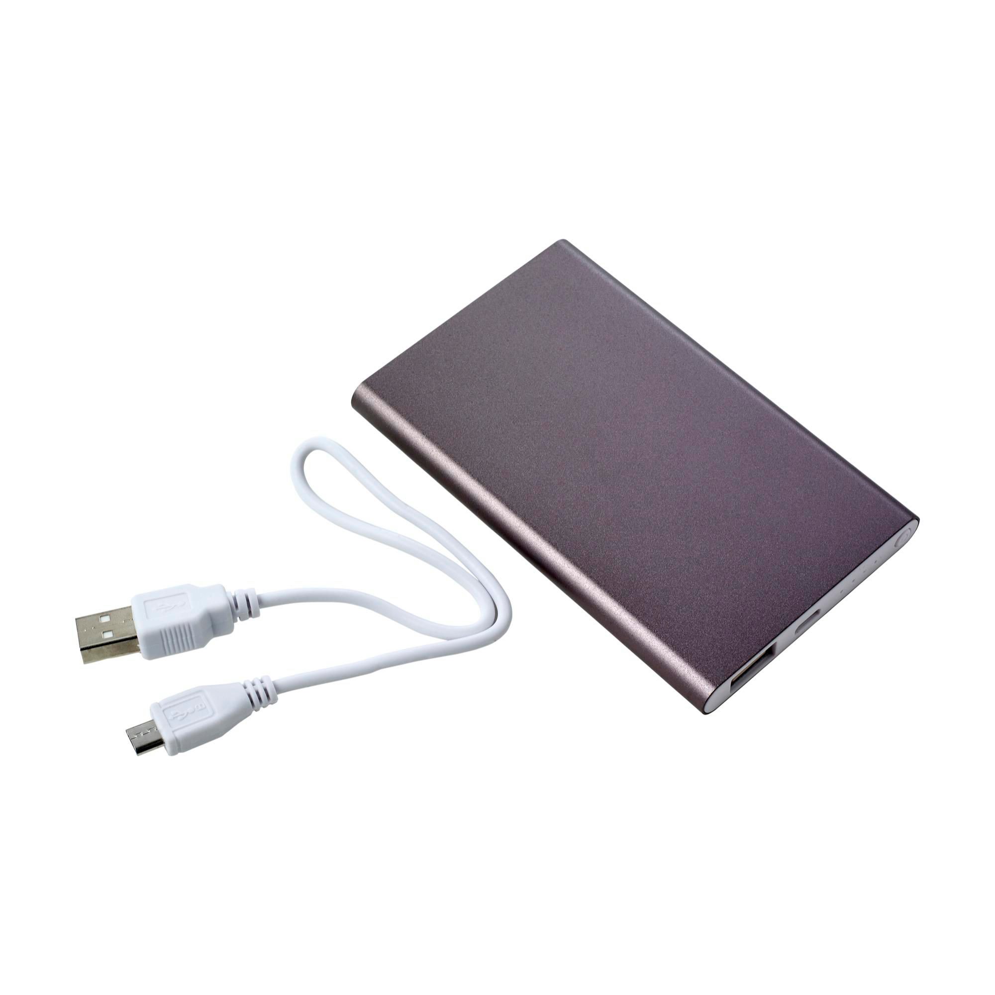 Vue 12 de Powerbank Ezra | 4 000 mAh