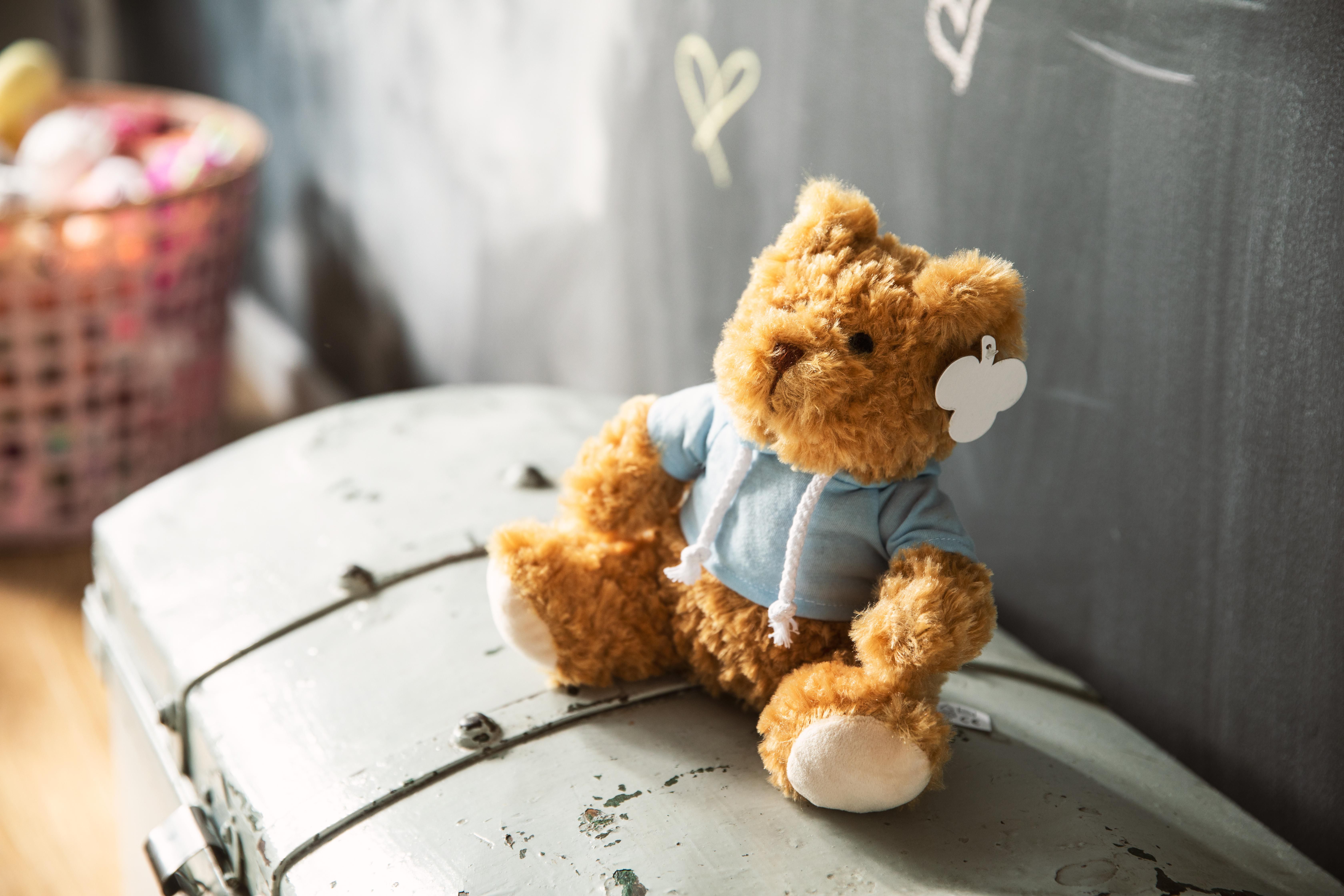 Vue 12 de Ours en peluche Monty