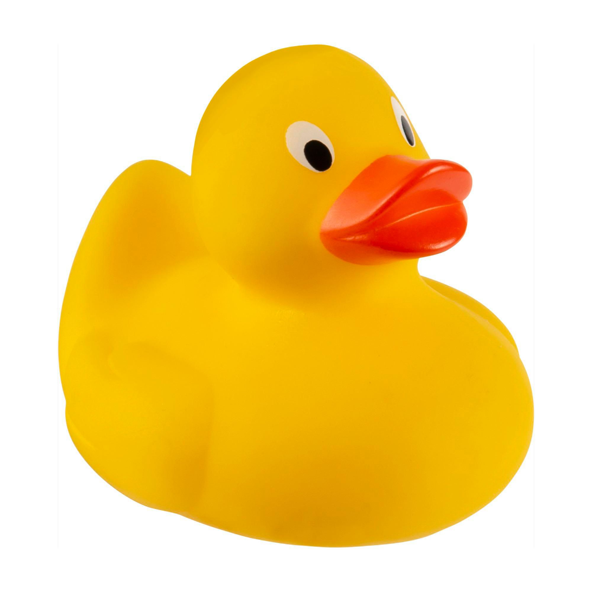 Vue 7 de Canard en plastique Mirta