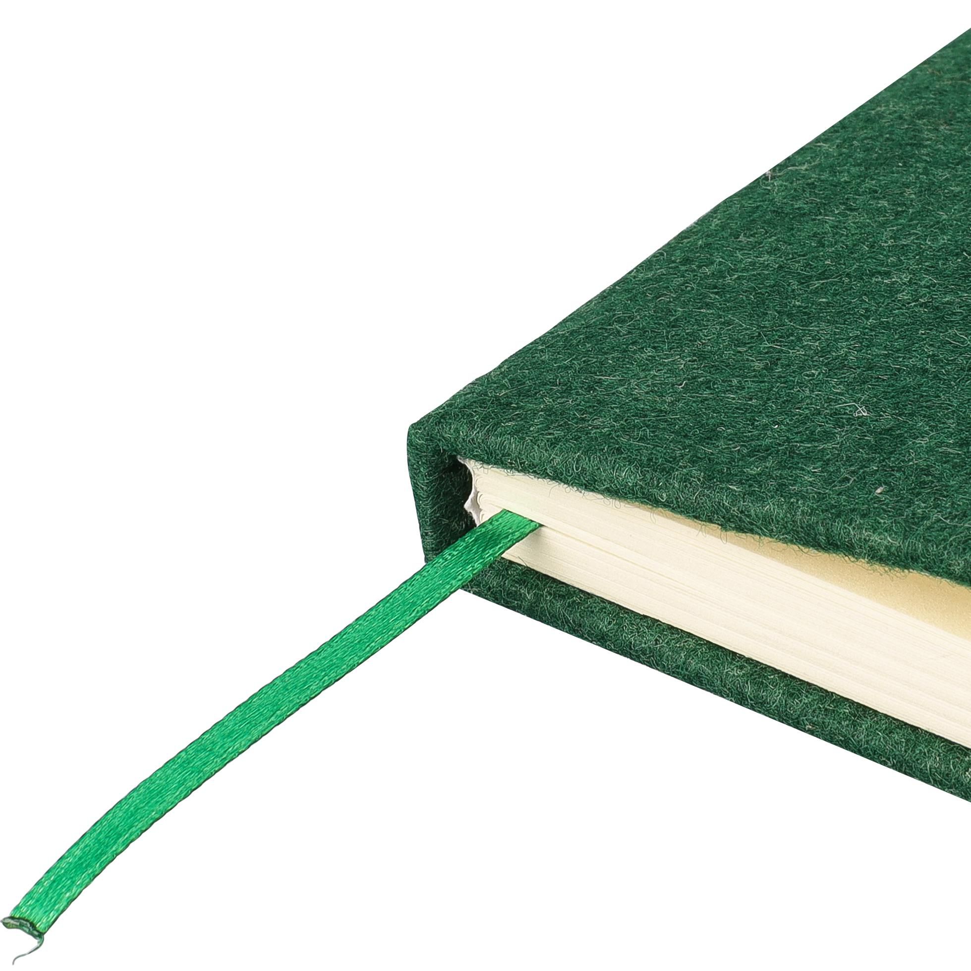 Vue 10 de Carnet Danio | Feutre recyclé | A5 | Ligné