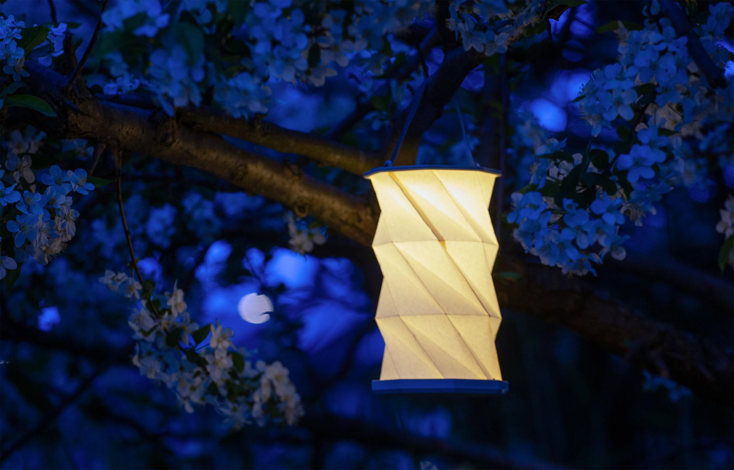 Vue 9 de Wooosh Rising Lantern lampe LED en papier