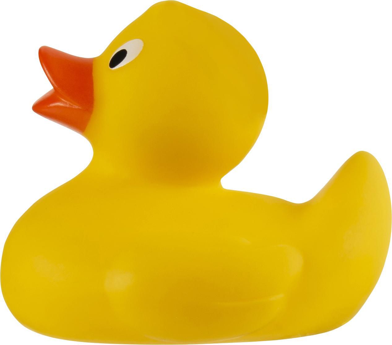 Vue 13 de Canard en plastique Mirta