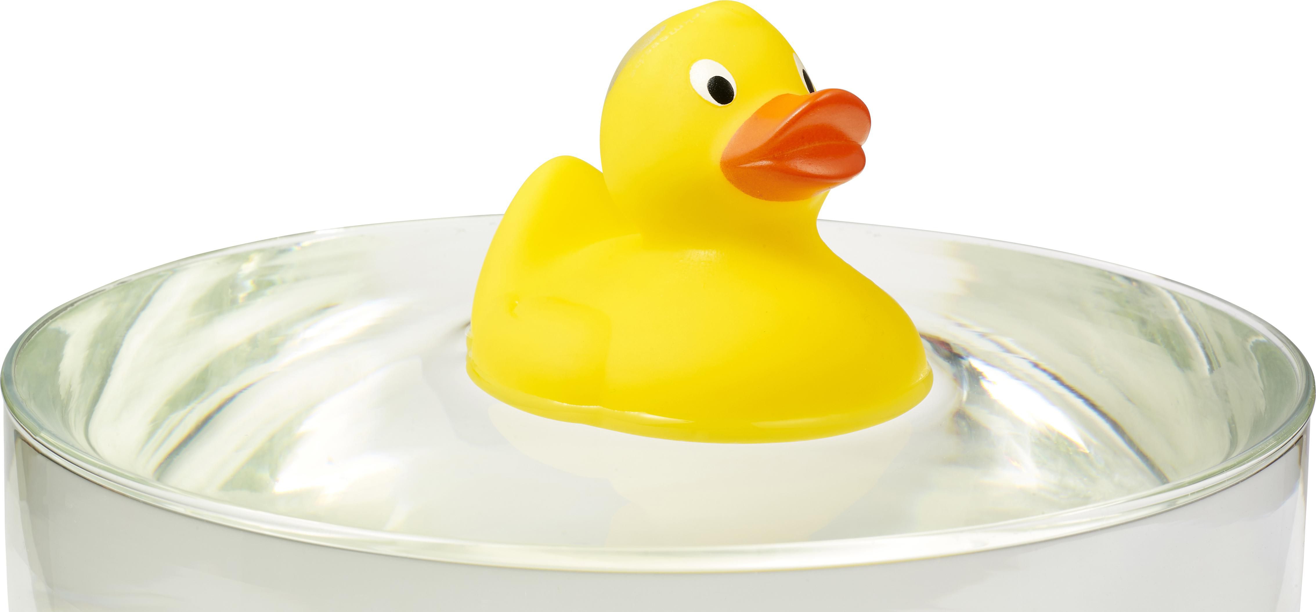 Vue 11 de Canard en plastique Mirta
