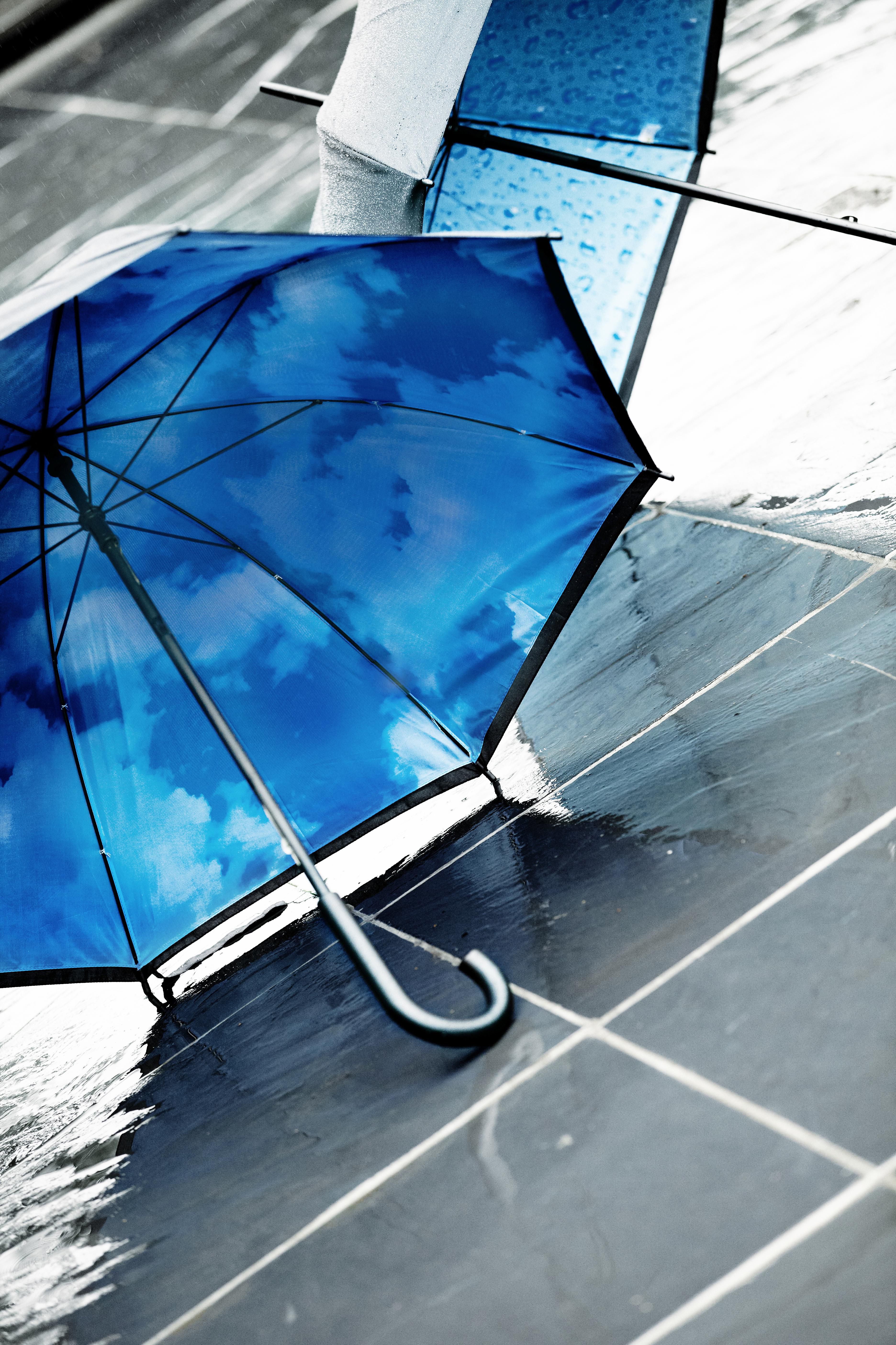 Vue 4 de Parapluie Ronnie | Nylon