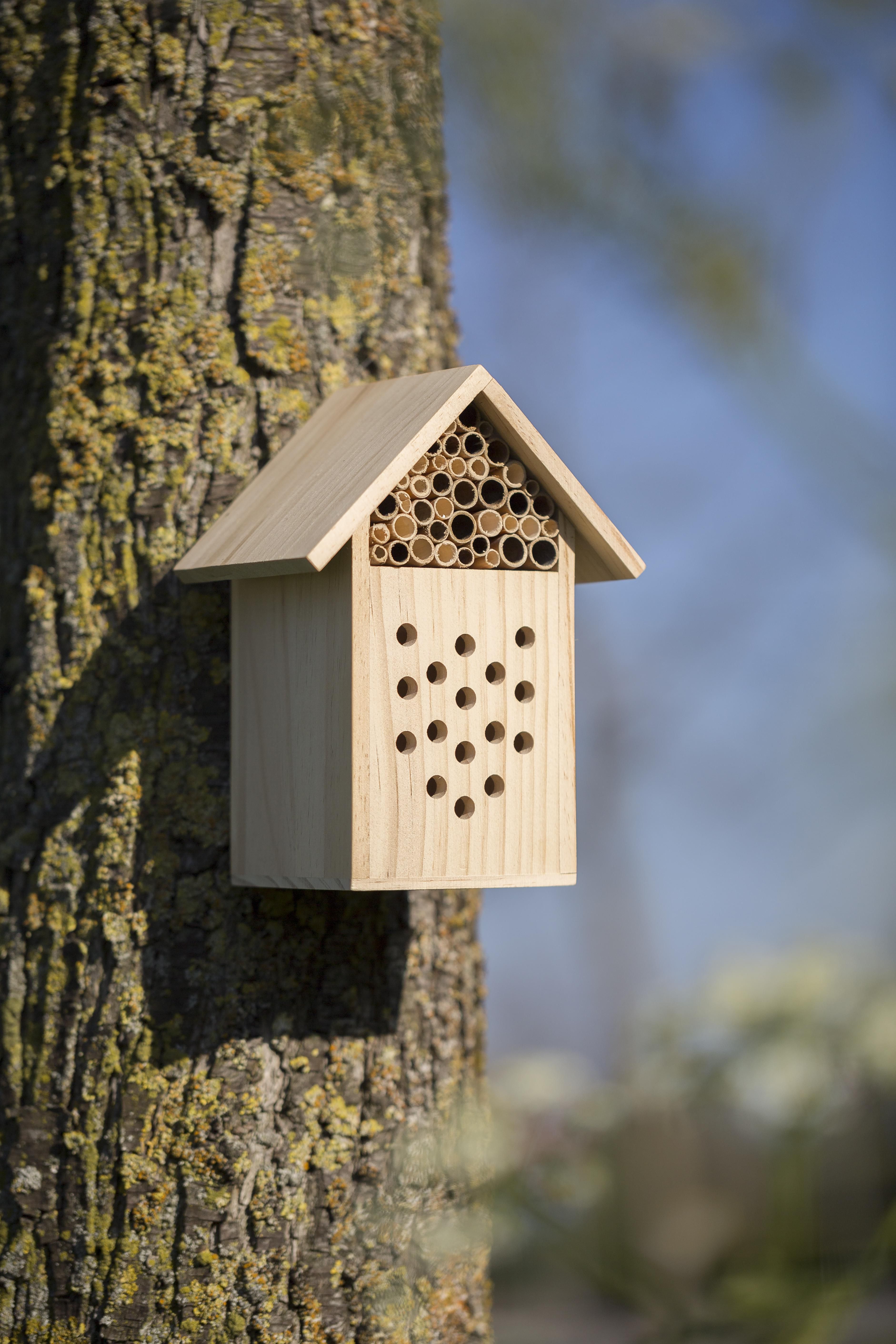 Vue 5 de Hôtel à abeilles Fahim