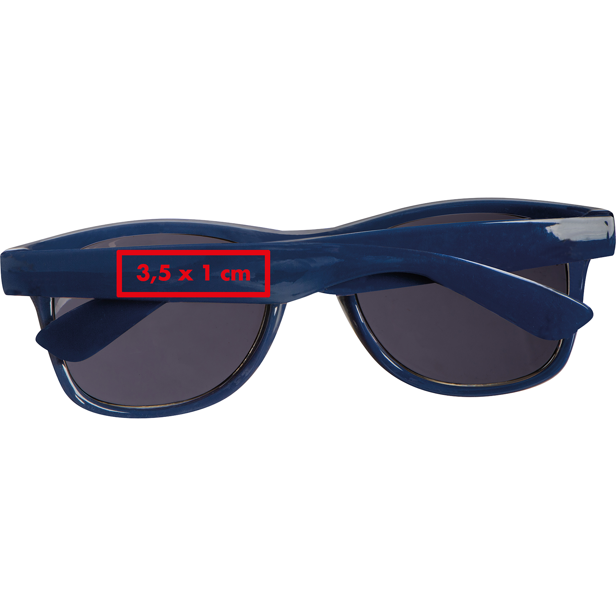 Vue 16 de Lunettes de soleil PET Illinois