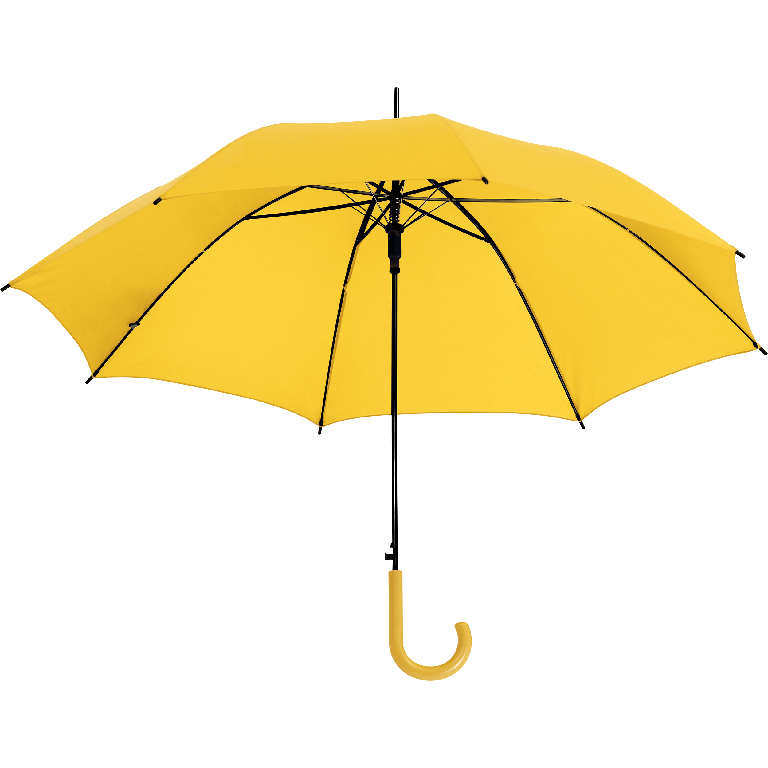 Vue 21 de Parapluie automatique Limoges