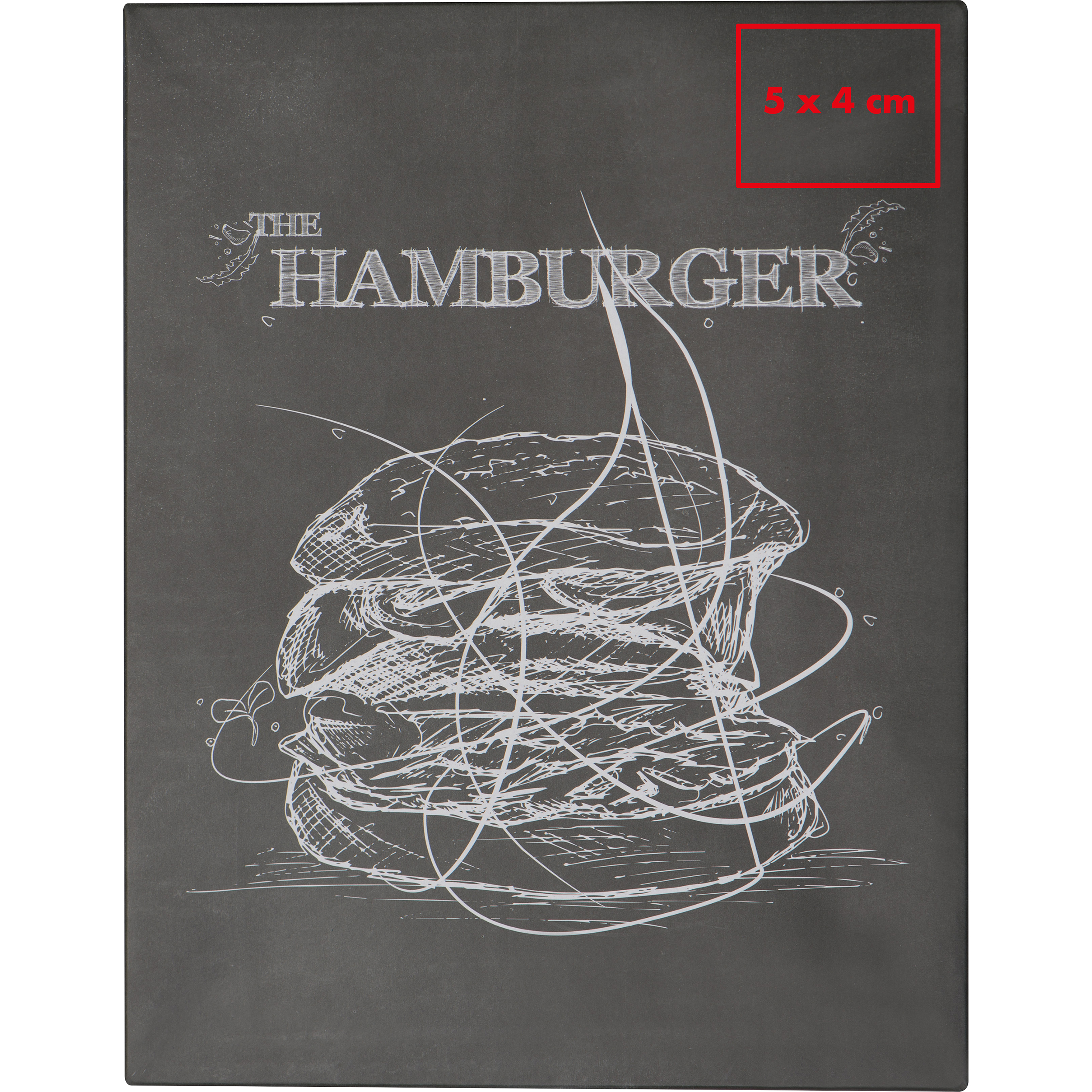 Vue 4 de Presse à hamburger avec brosse Texas