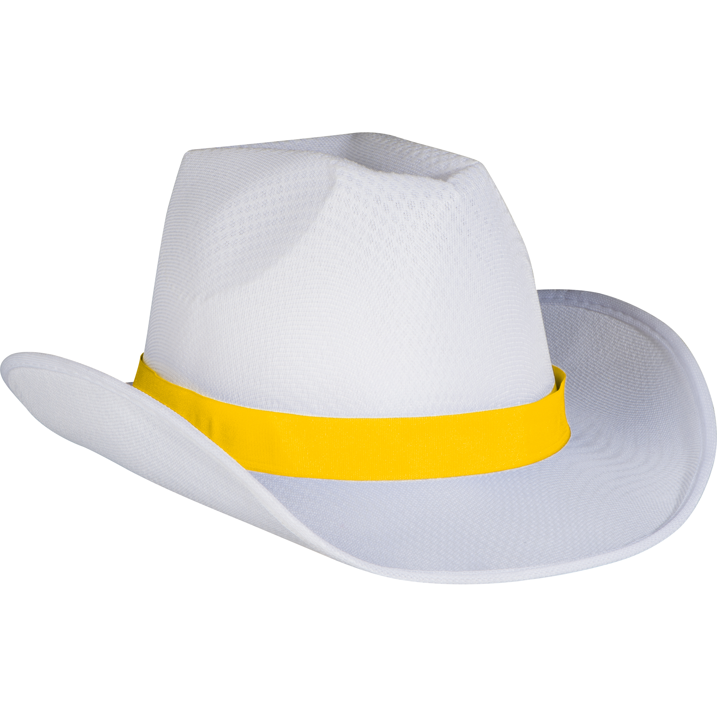 Vue 4 de Chapeau Baldwin