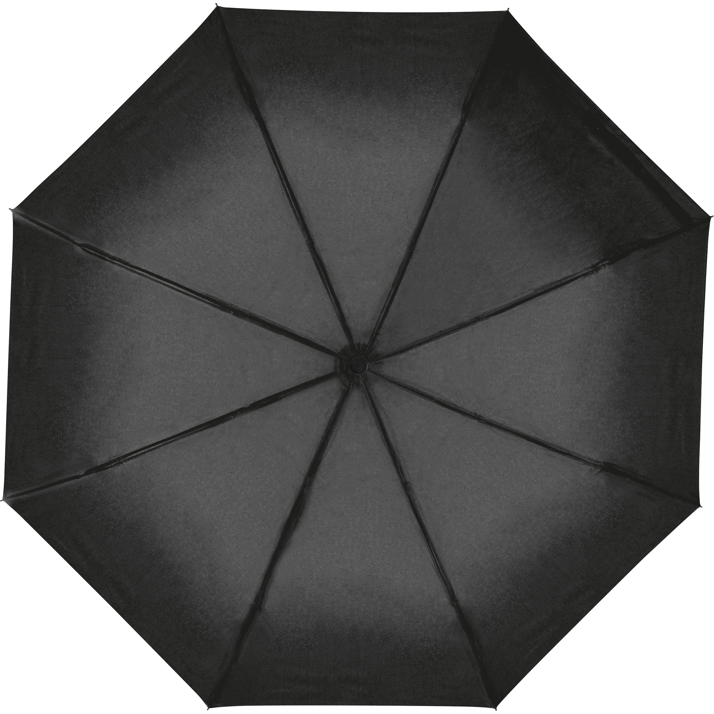 Vue 7 de Parapluie Erding