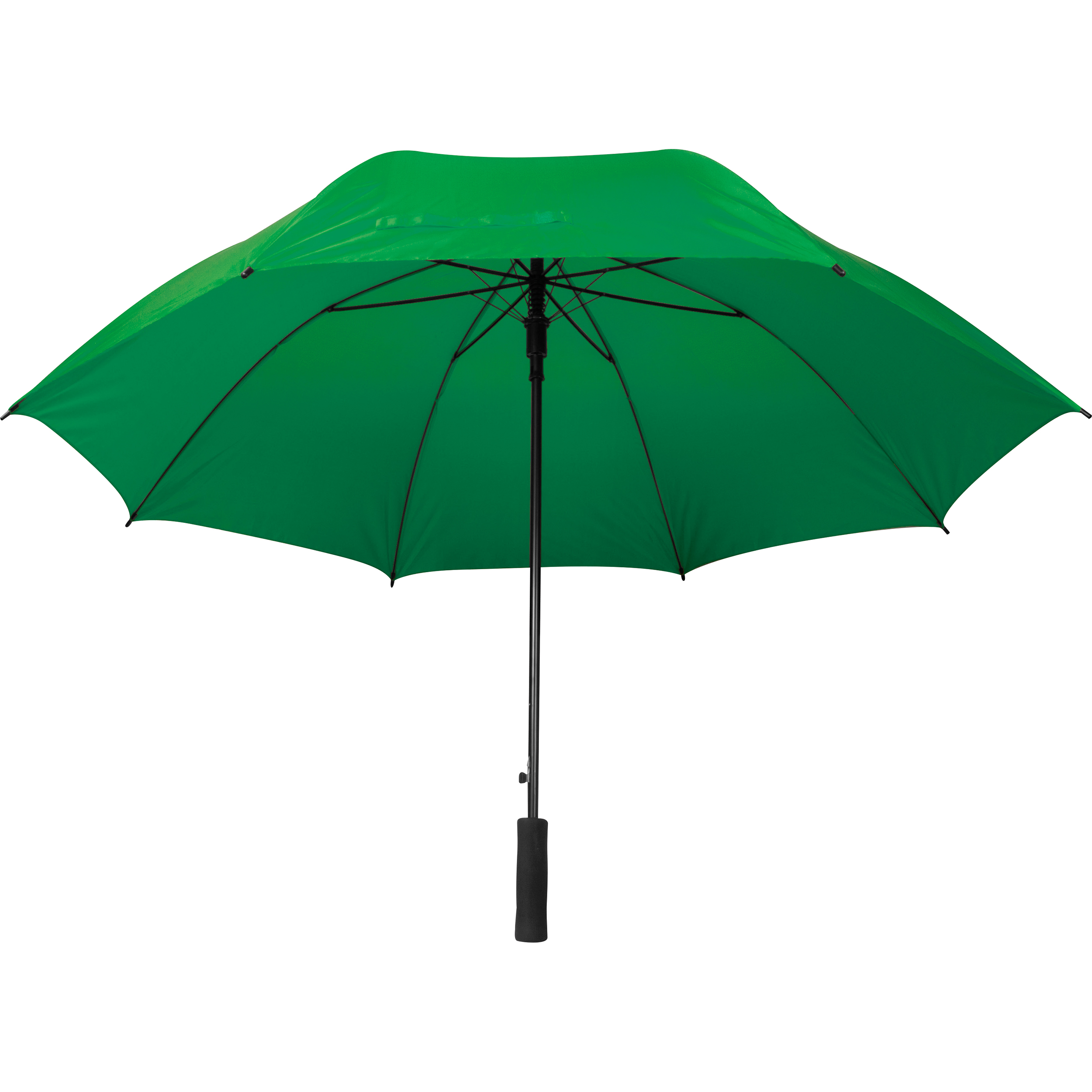 Vue 13 de Grand parapluie Suederdeich