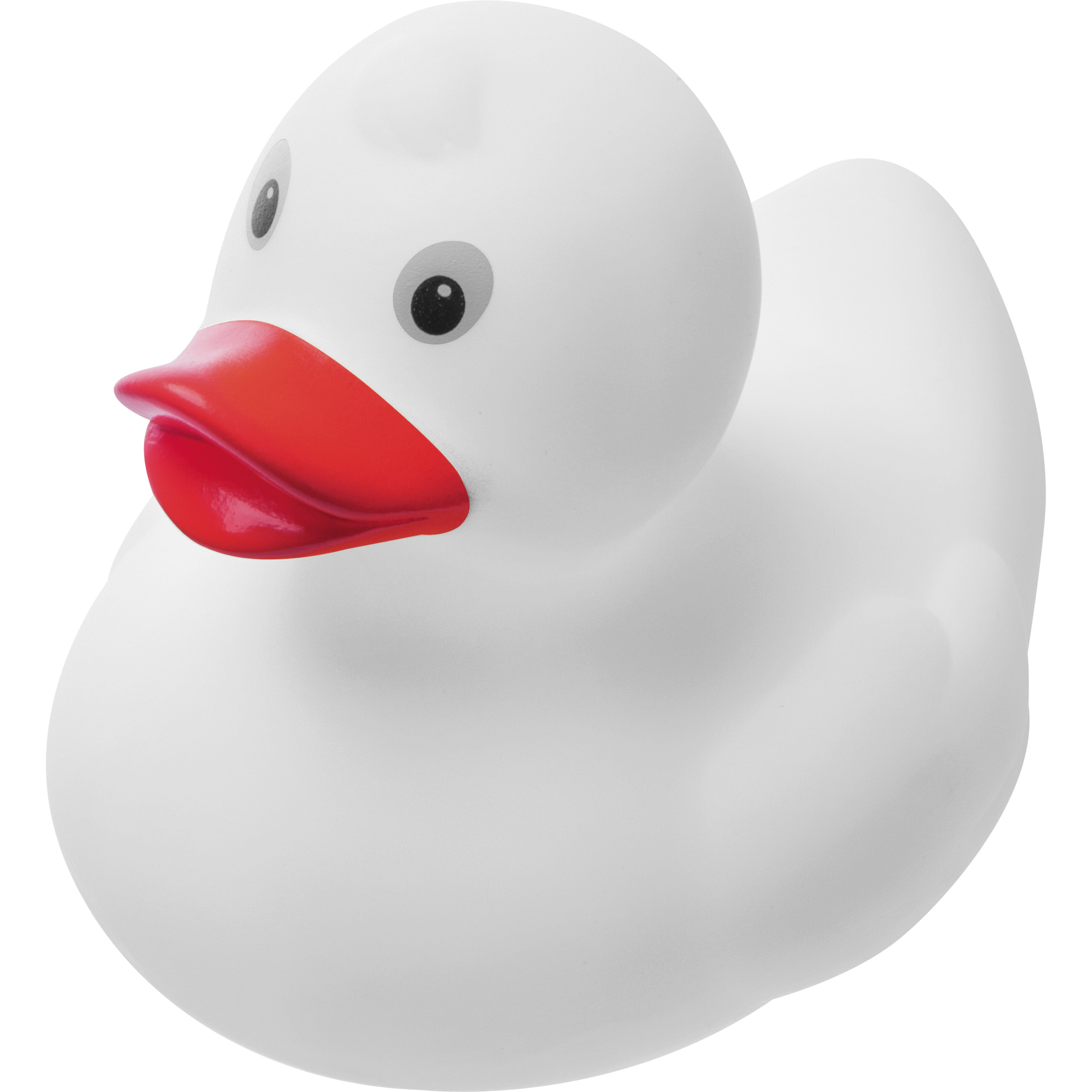 Canard couinant Blankenberge