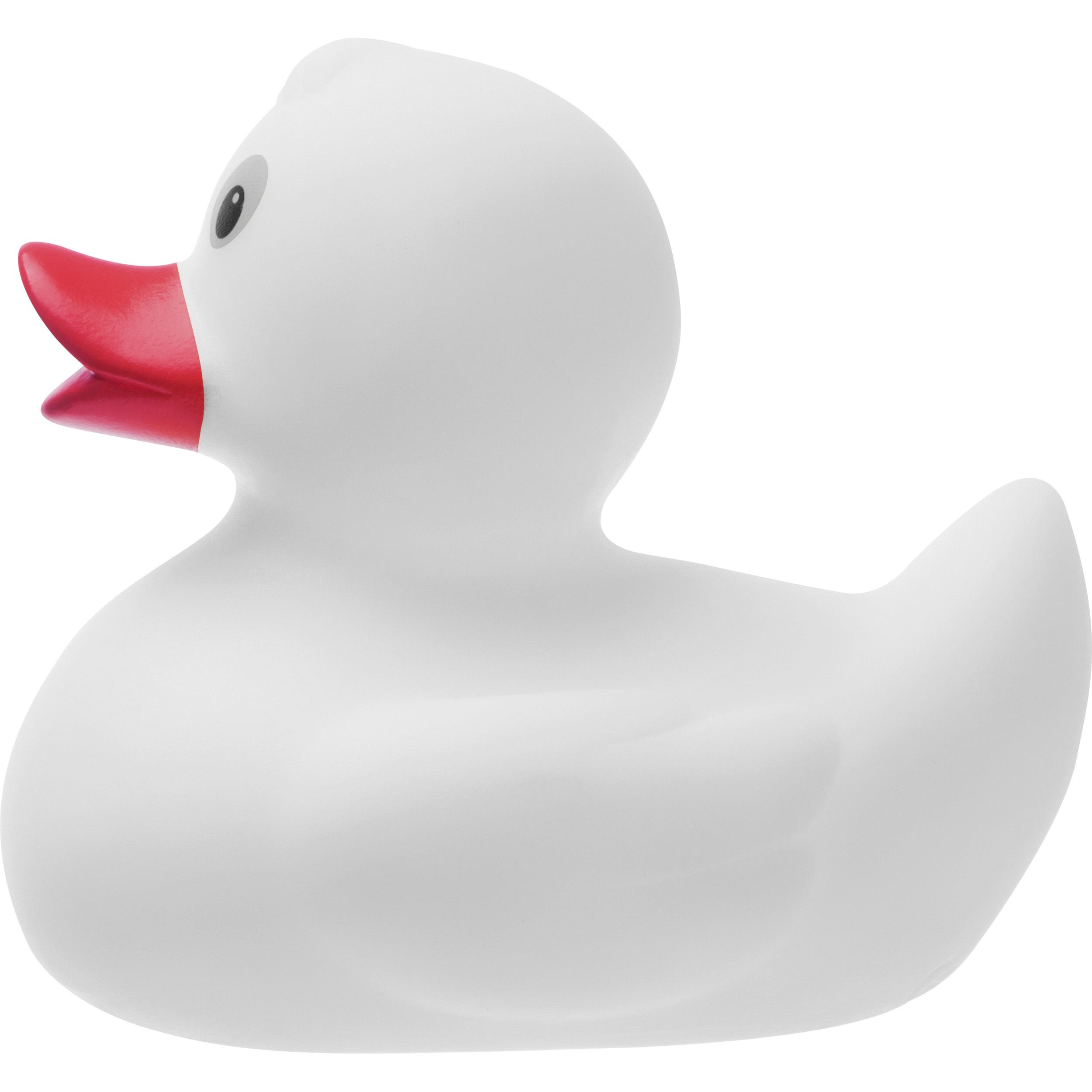 Vue 3 de Canard couinant Blankenberge