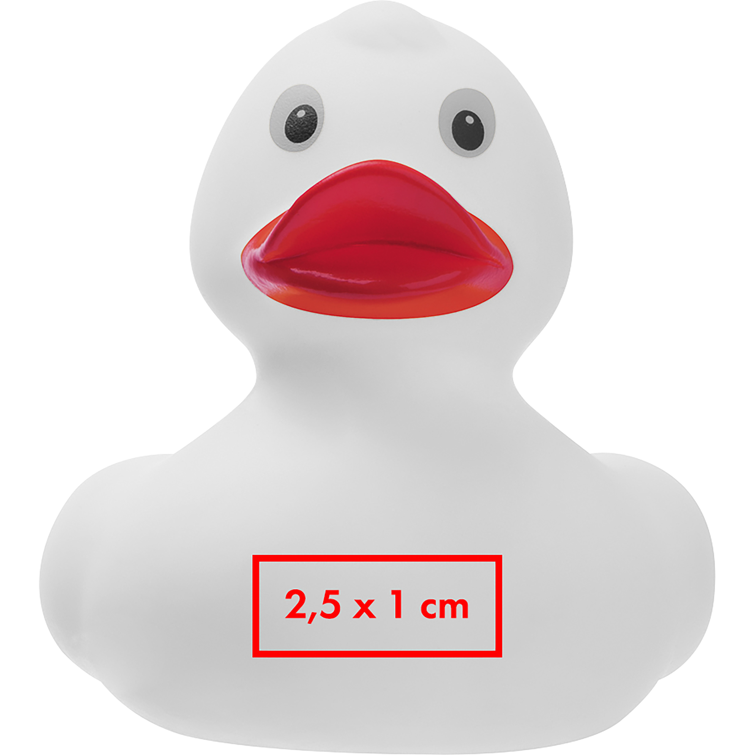 Vue 4 de Canard couinant Blankenberge