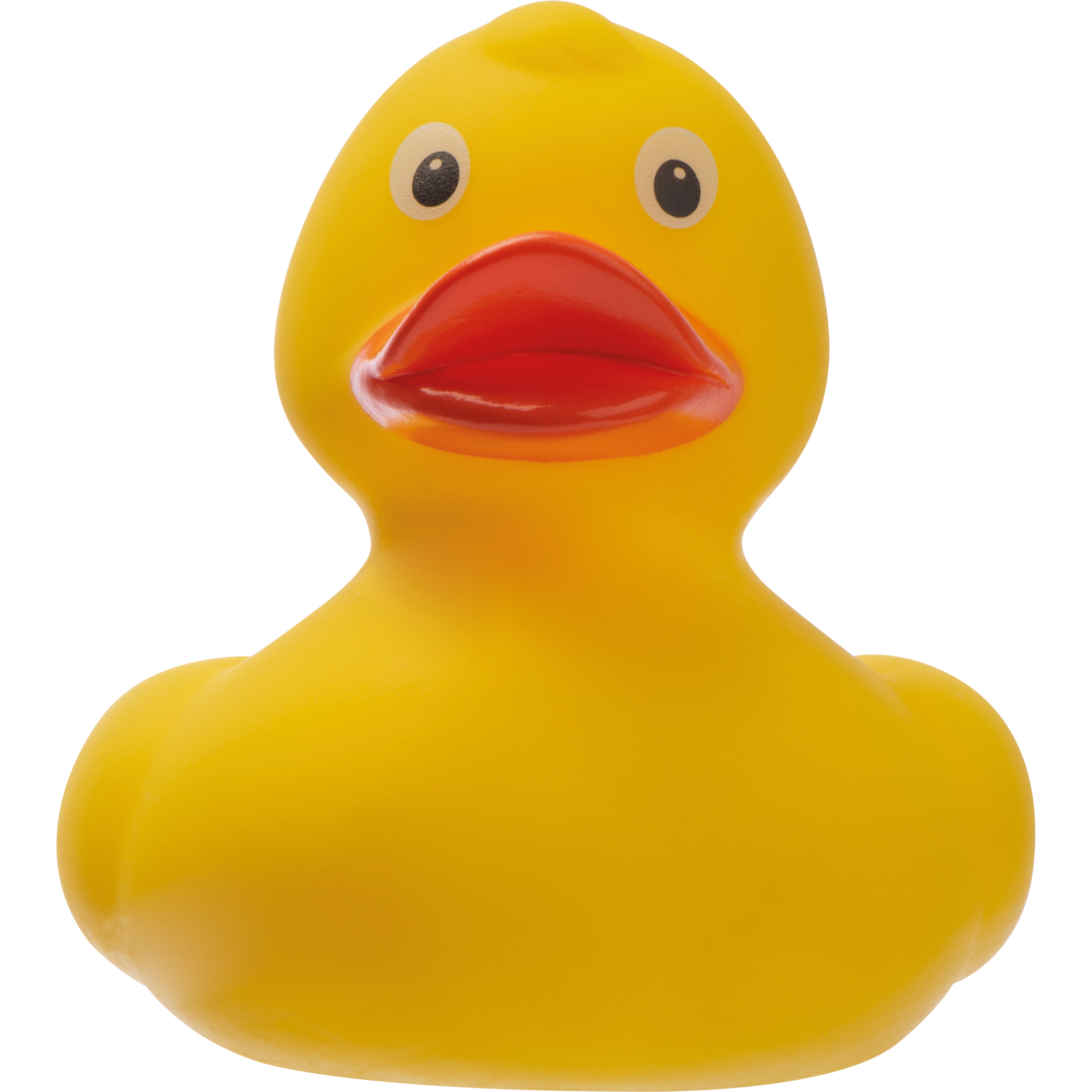Vue 6 de Canard couinant Blankenberge